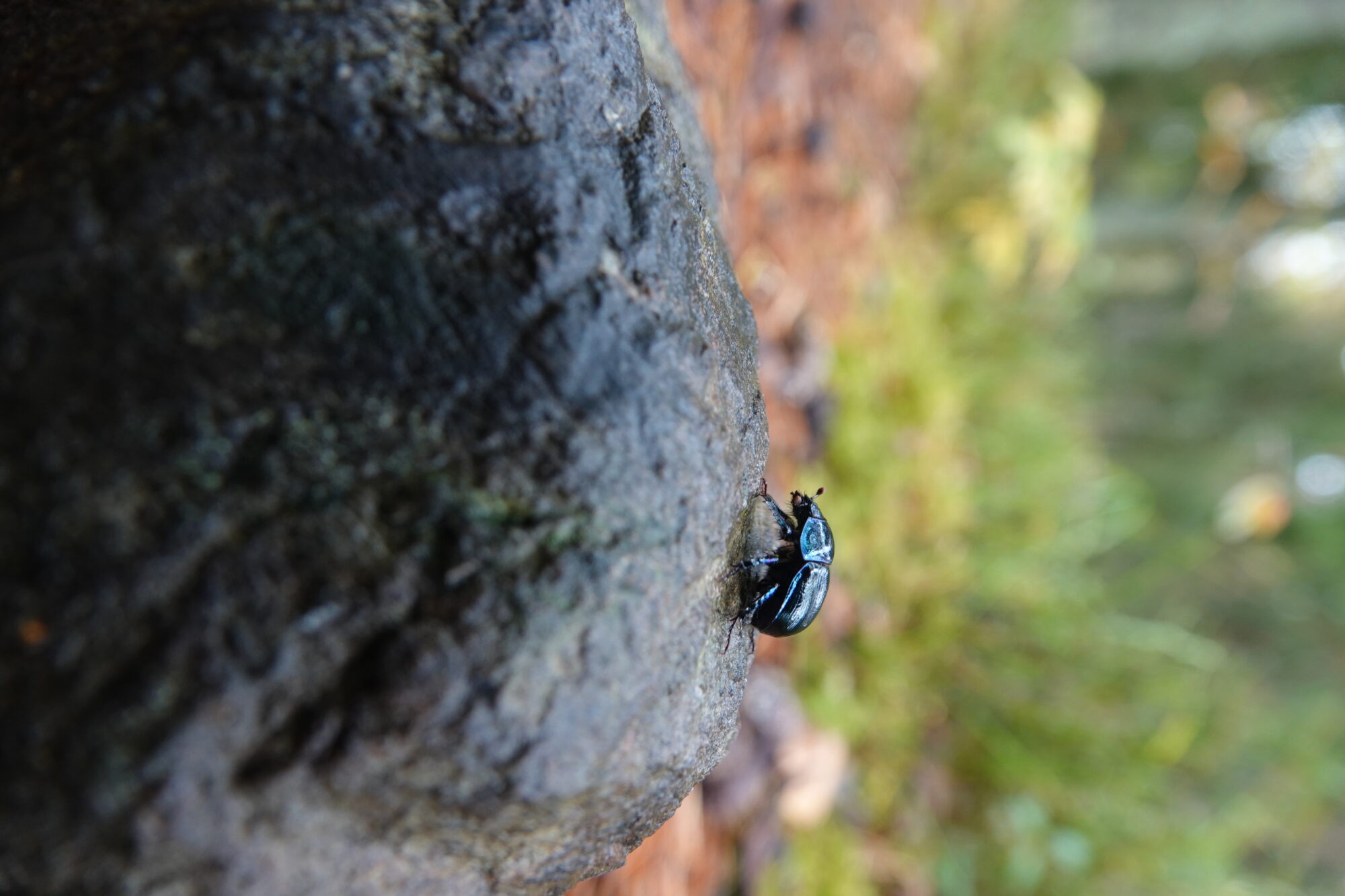 Valokuvaaja: Jenna Pitkänen