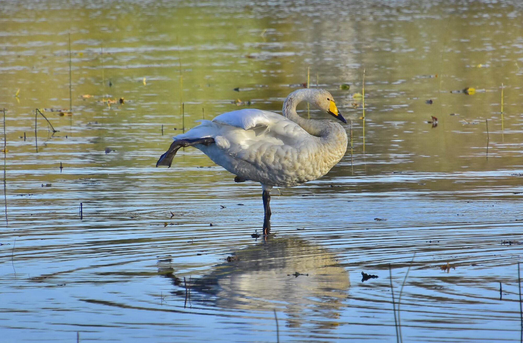 Valokuvaaja: Markku Pelkonen Valokuvaaja: Markku Pelkonen