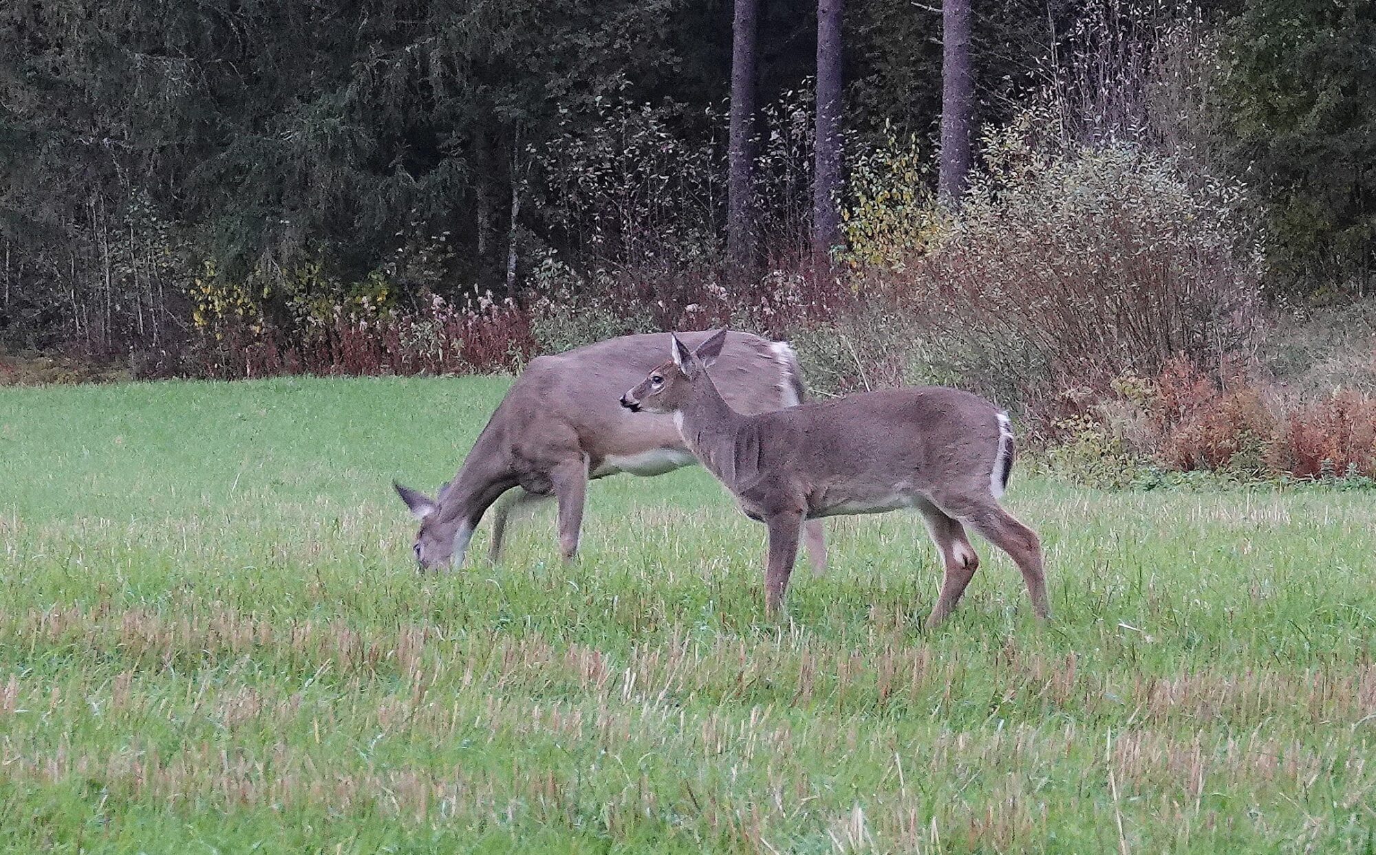Valokuvaaja: Raija Oksanen