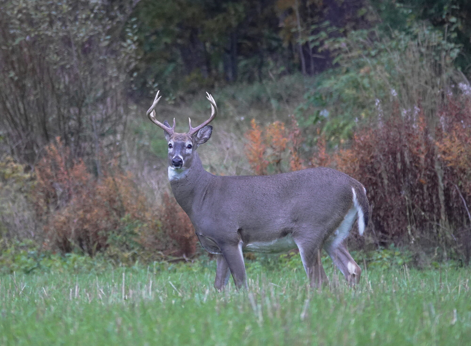 Valokuvaaja: Raija Oksanen