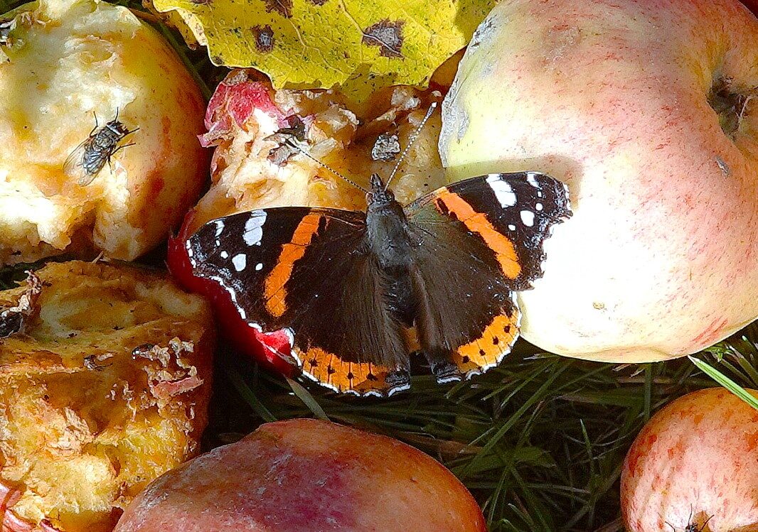 Valokuvaaja: Raija Oksanen