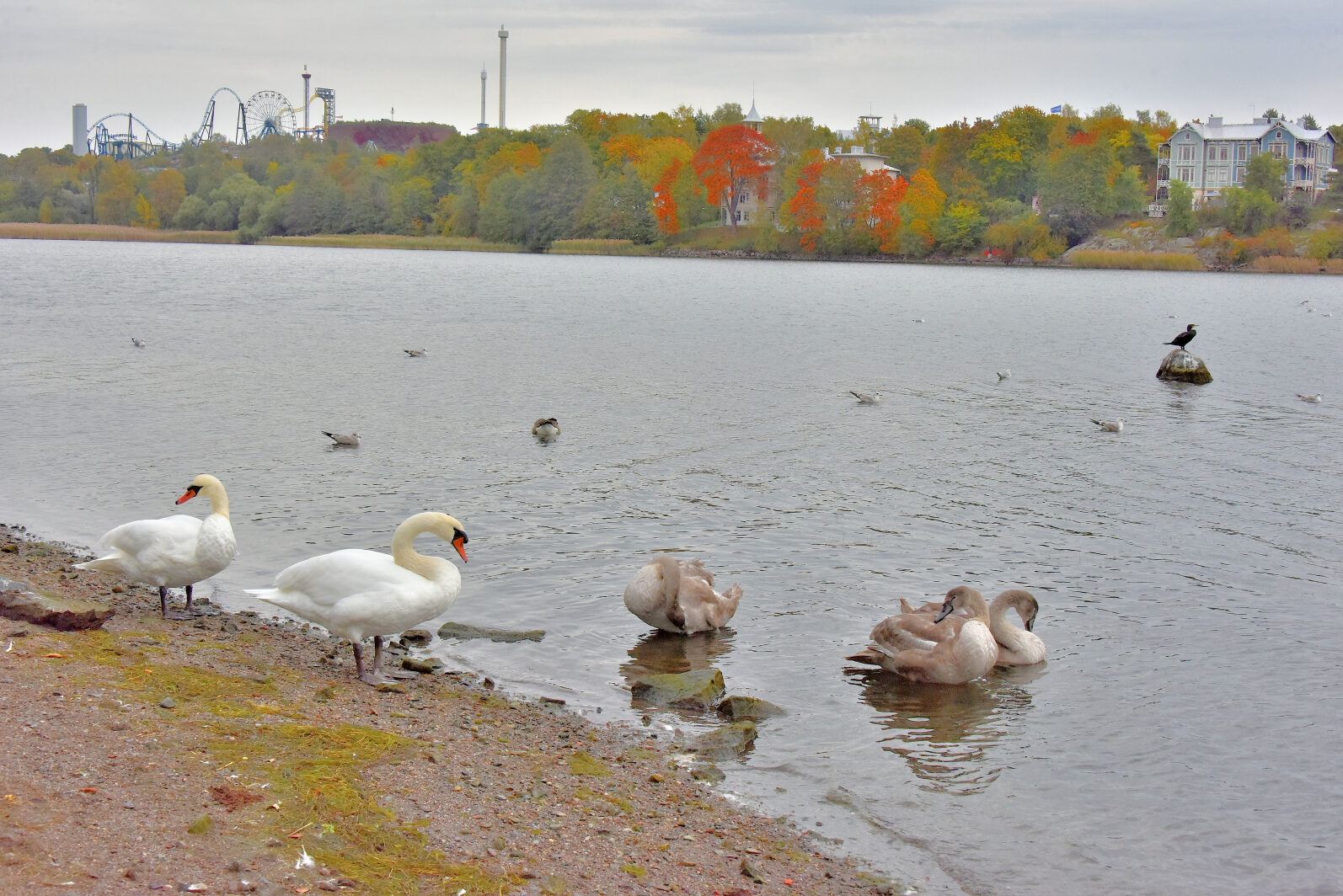 Valokuvaaja: Reijo Juurinen