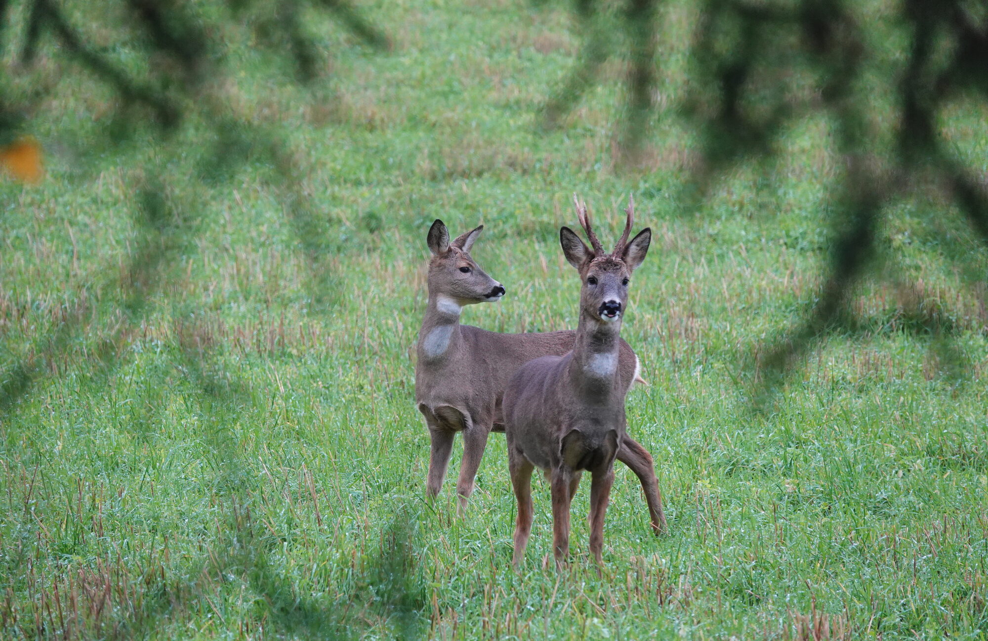 Valokuvaaja: Raija Oksanen
