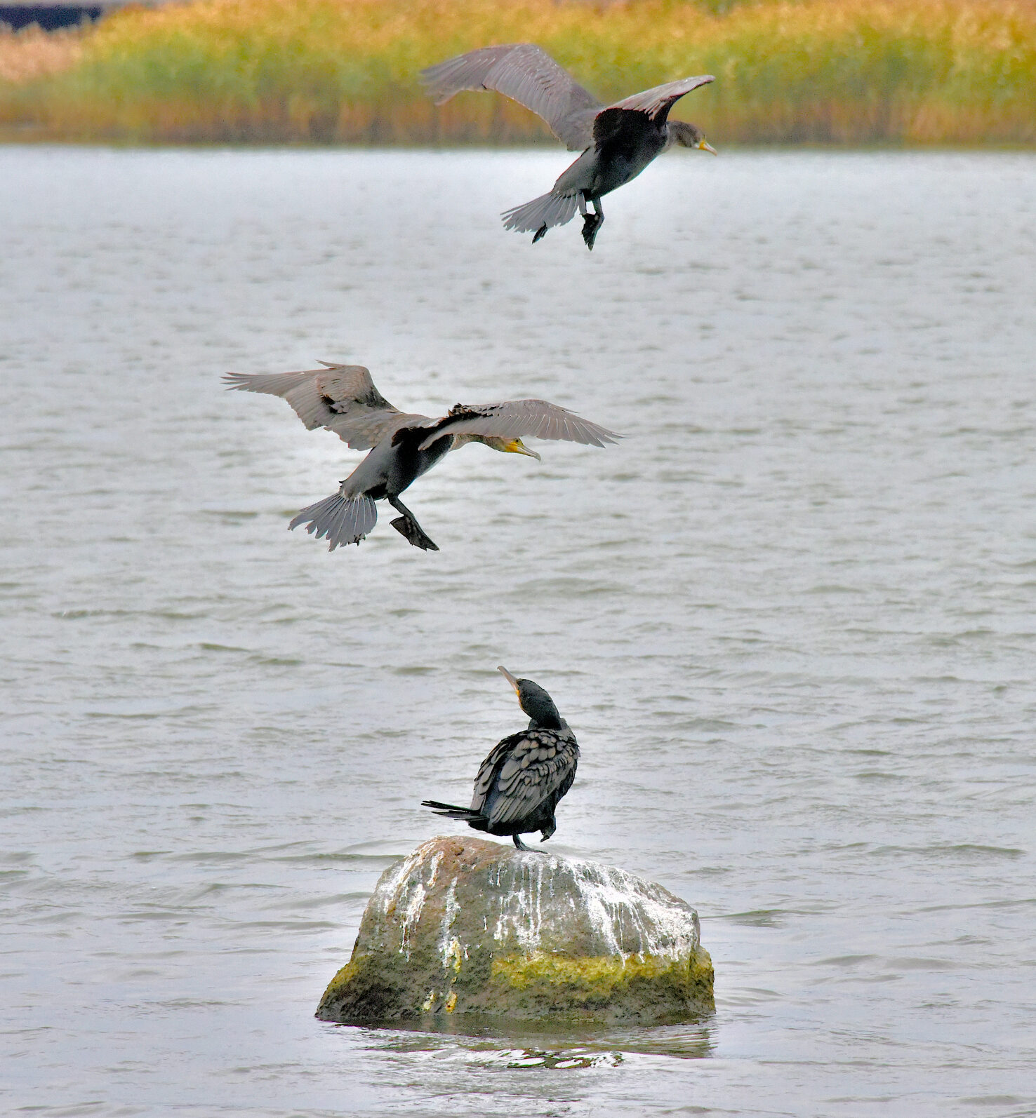 Valokuvaaja: Reijo Juurinen