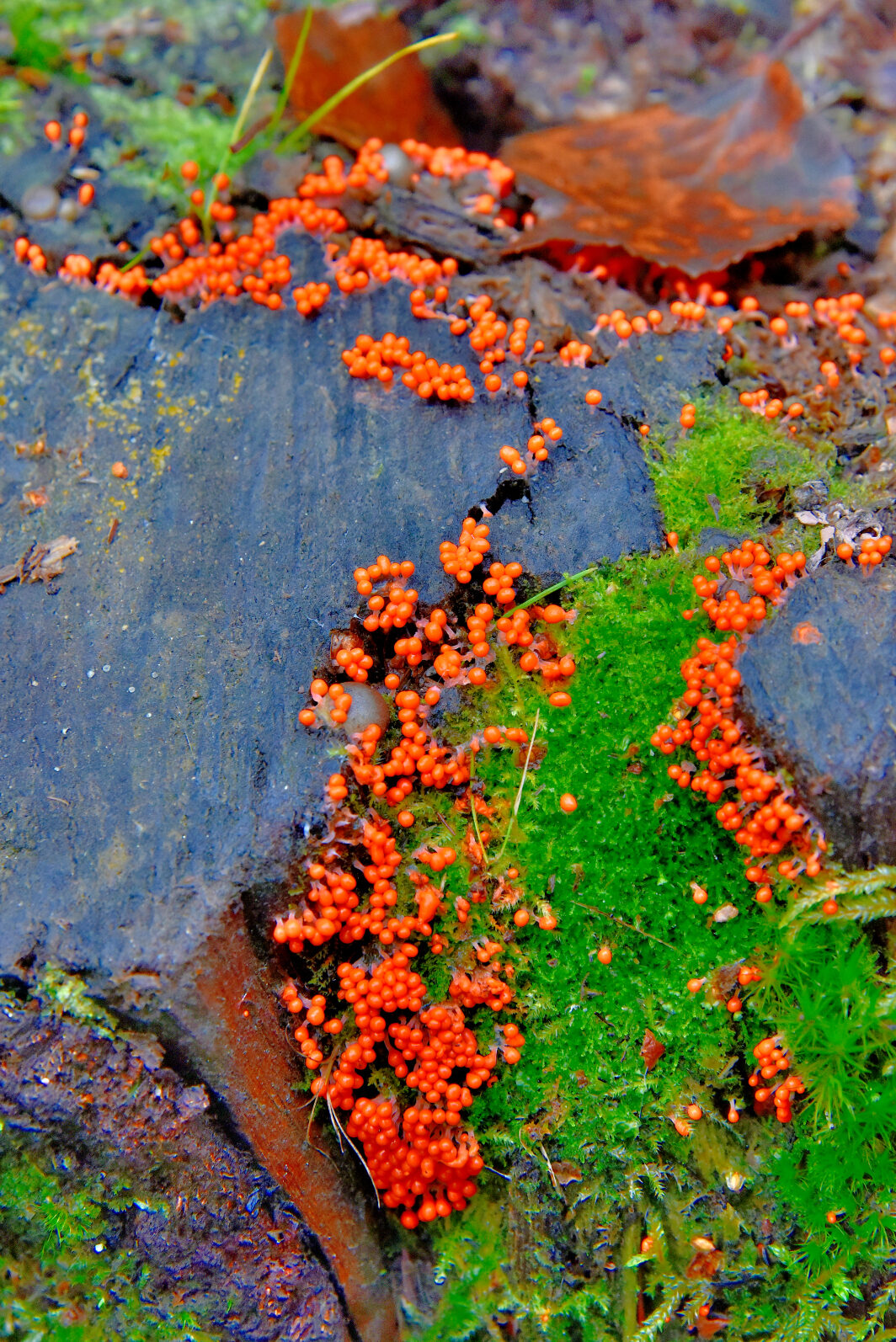 Valokuvaaja: Reijo Juurinen