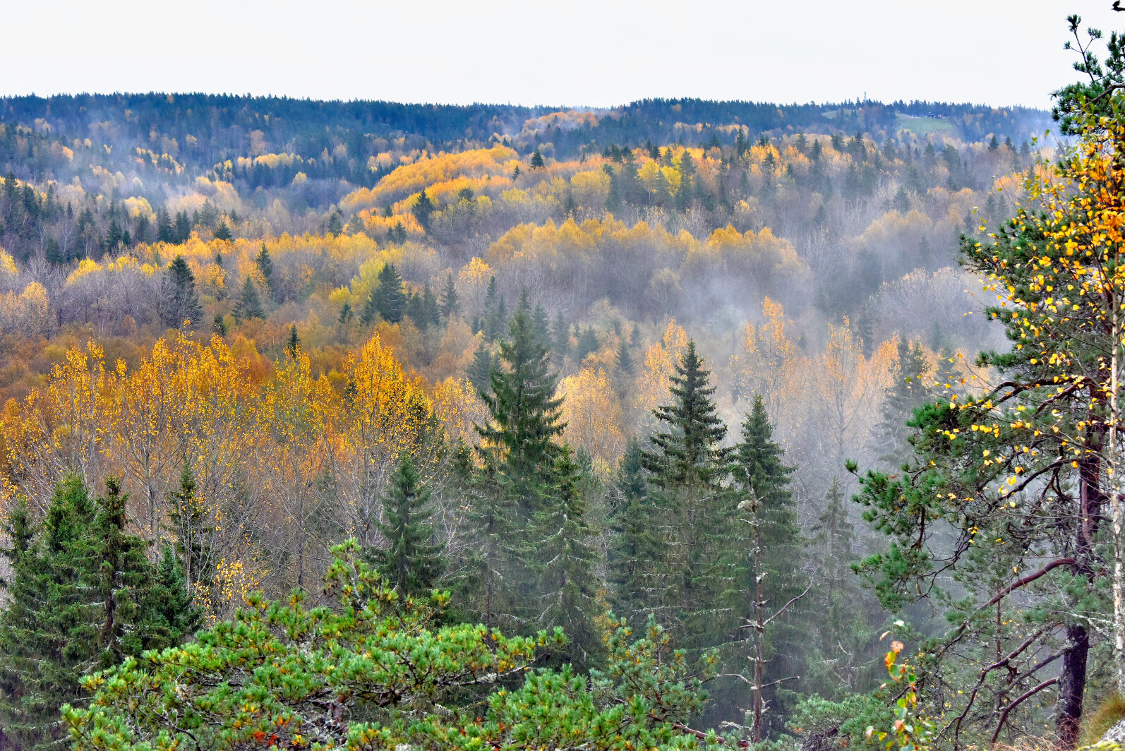 Valokuvaaja: Reijo Juurinen