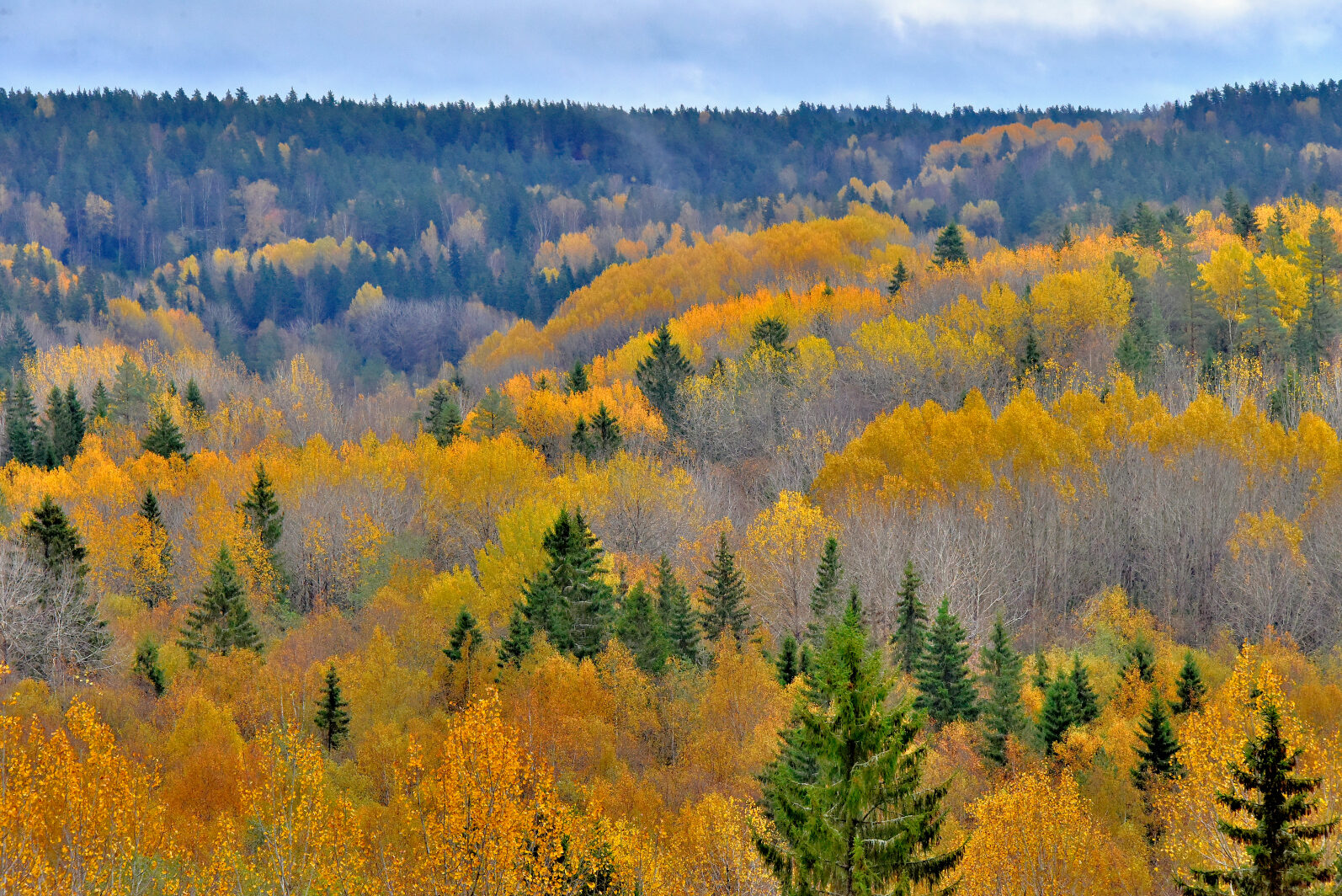 Valokuvaaja: Reijo Juurinen