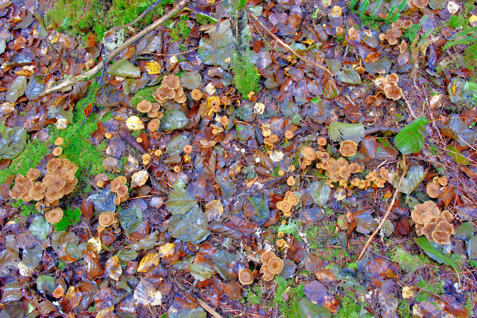 Valokuvaaja: Reijo Juurinen