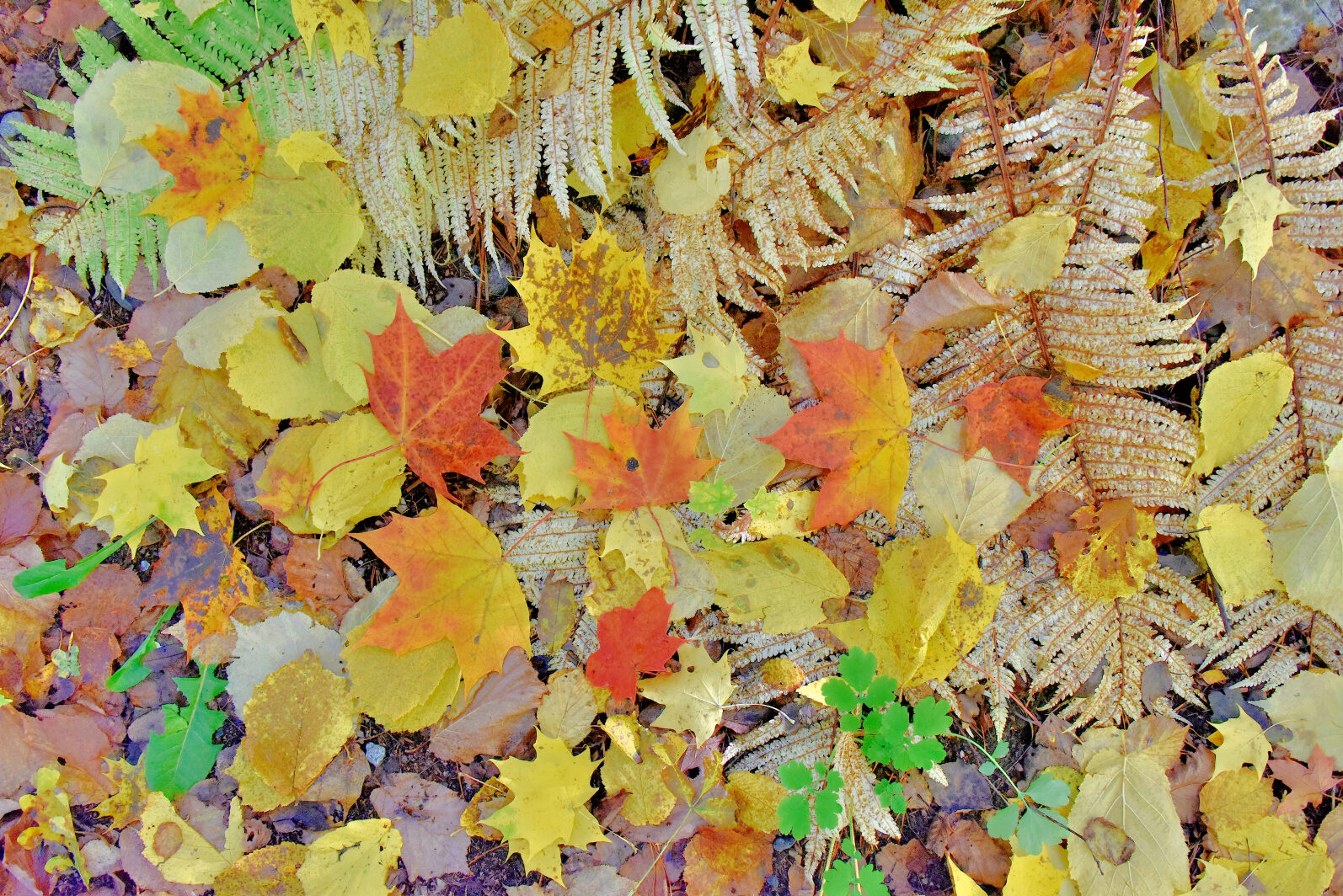 Valokuvaaja: Reijo Juurinen