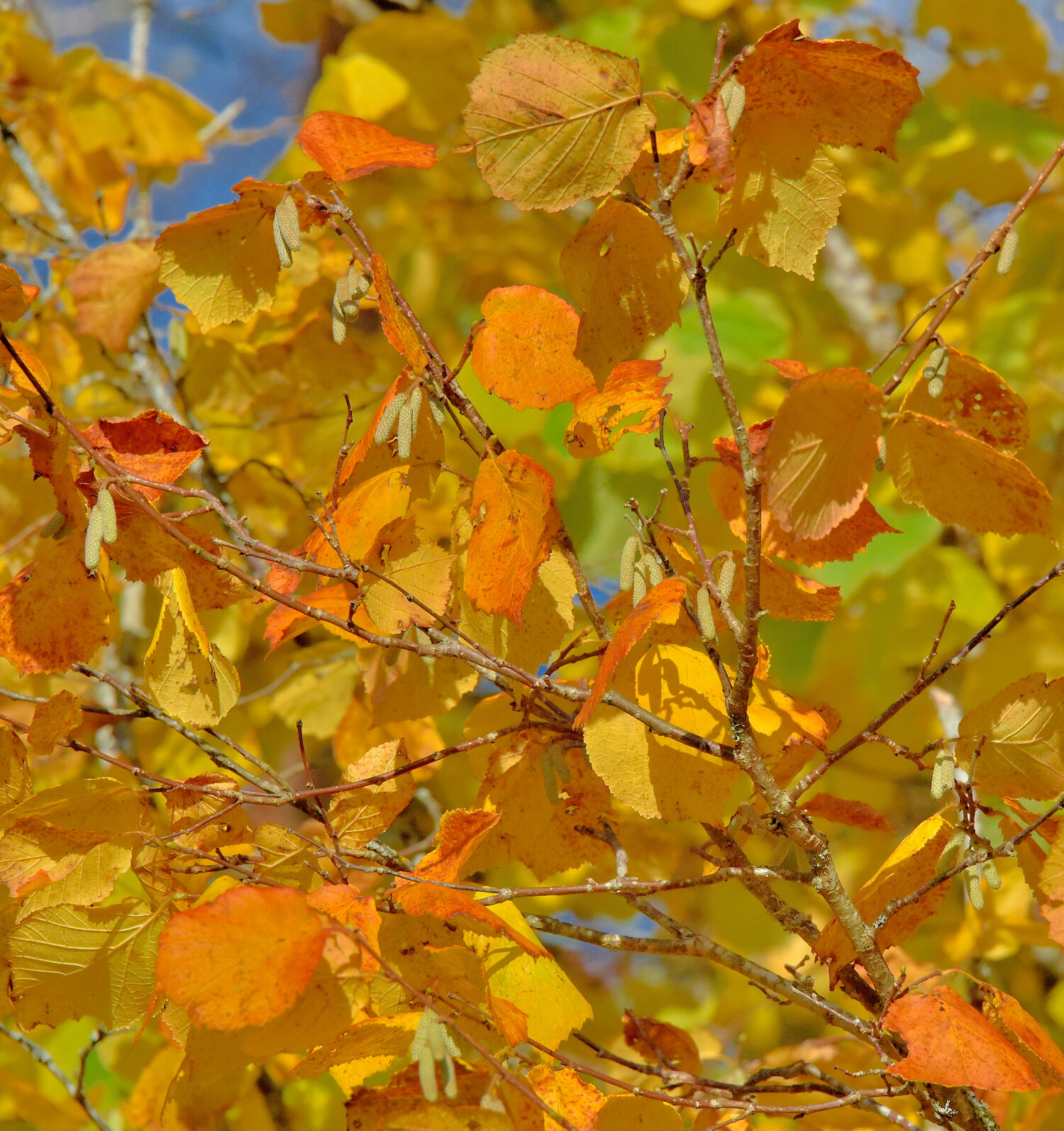 Valokuvaaja: Reijo Juurinen