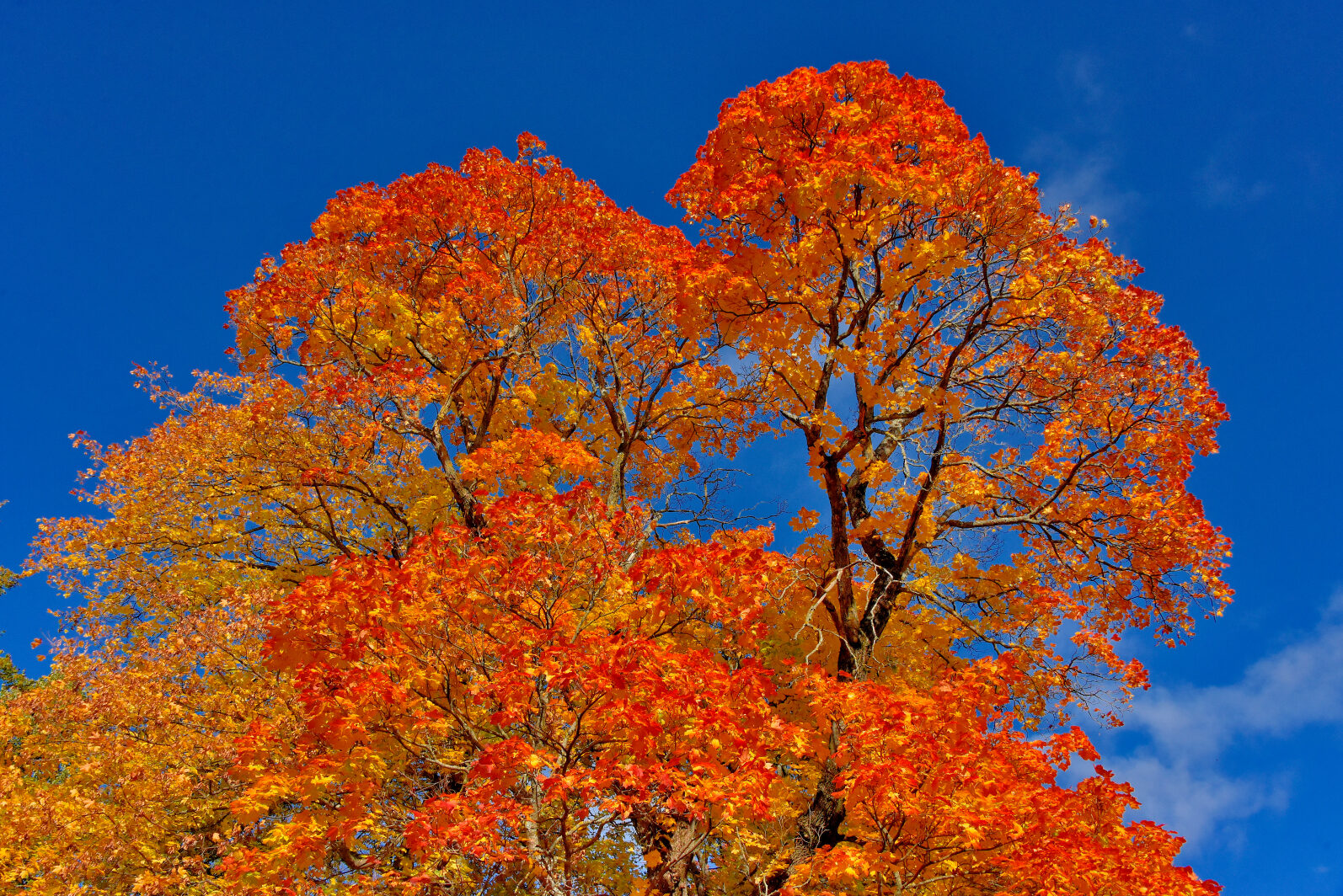 Valokuvaaja: Reijo Juurinen
