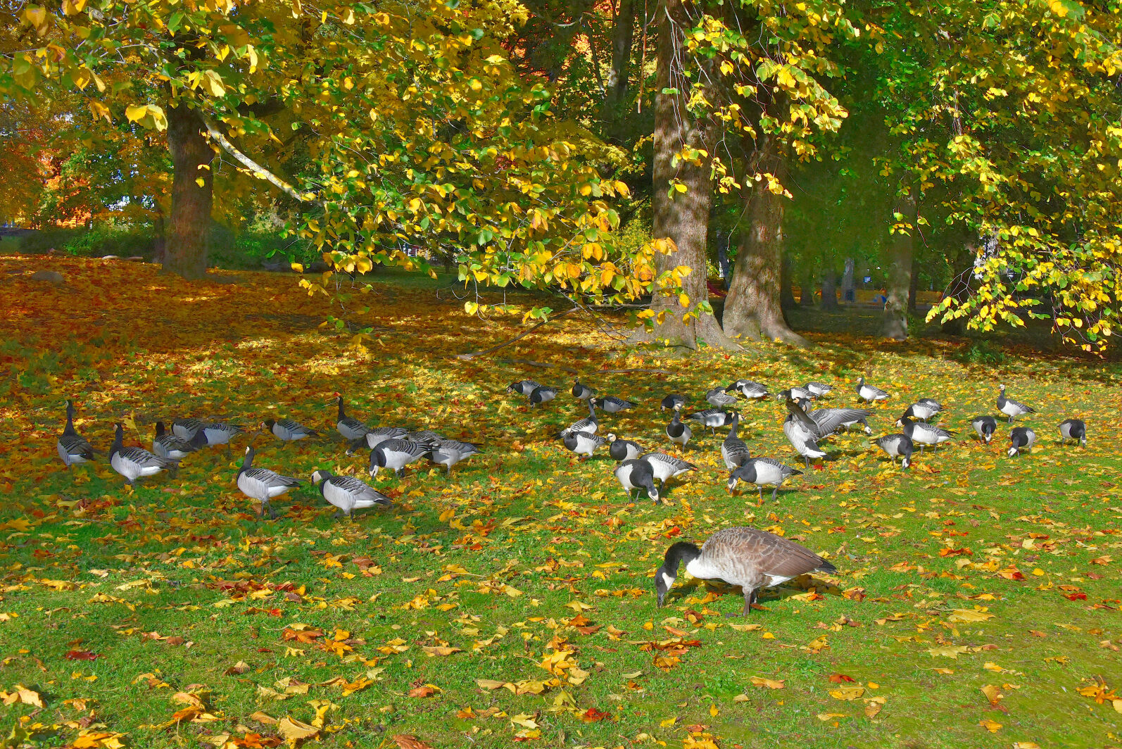 Valokuvaaja: Reijo Juurinen