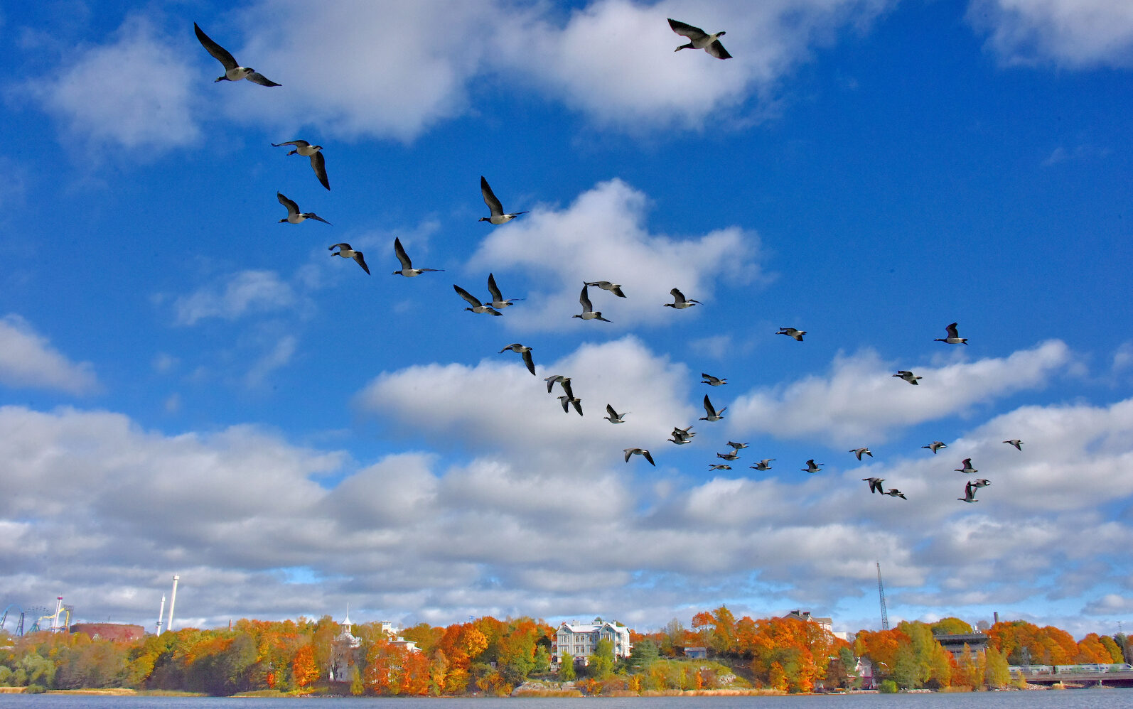 Valokuvaaja: Reijo Juurinen