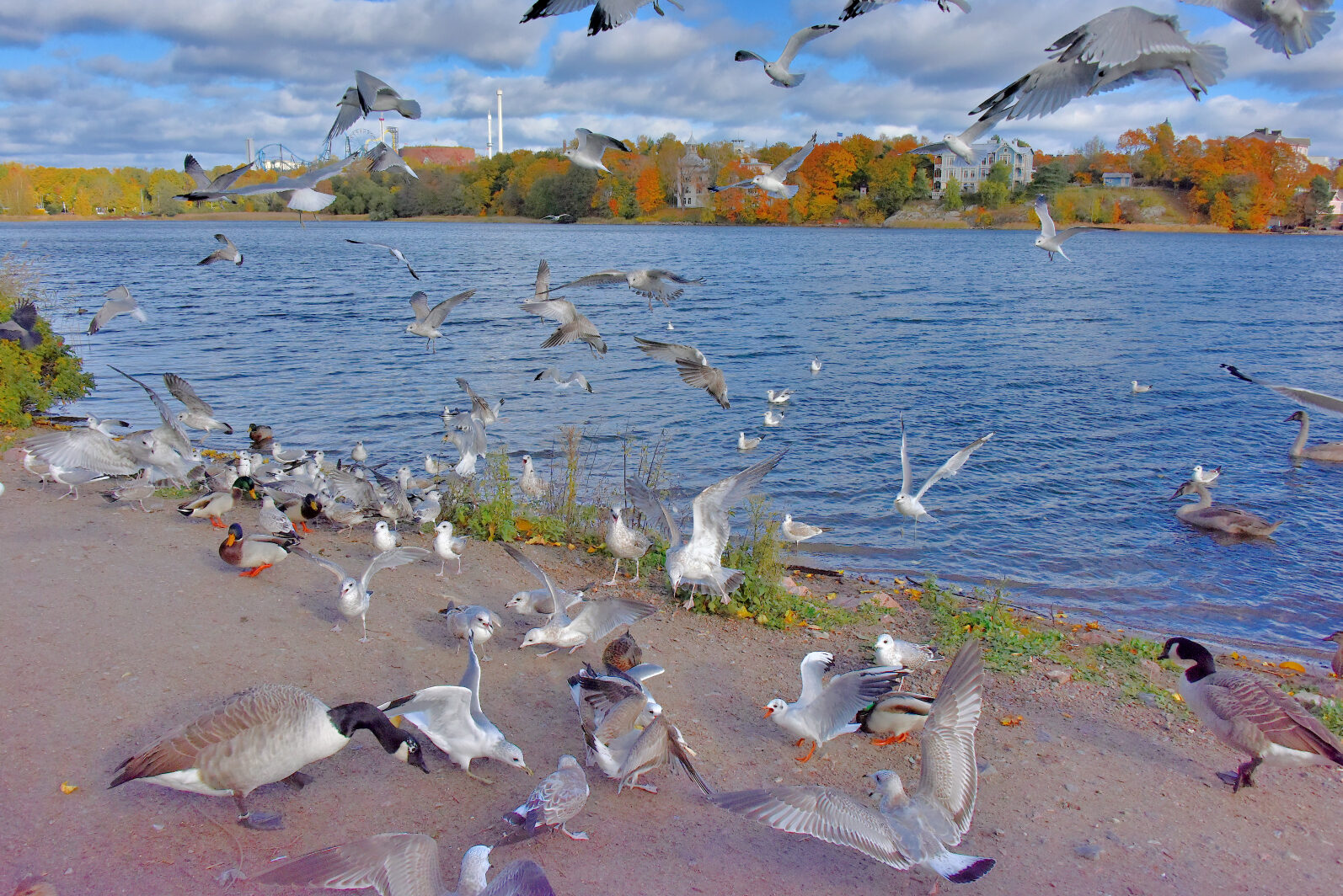 Valokuvaaja: Reijo Juurinen