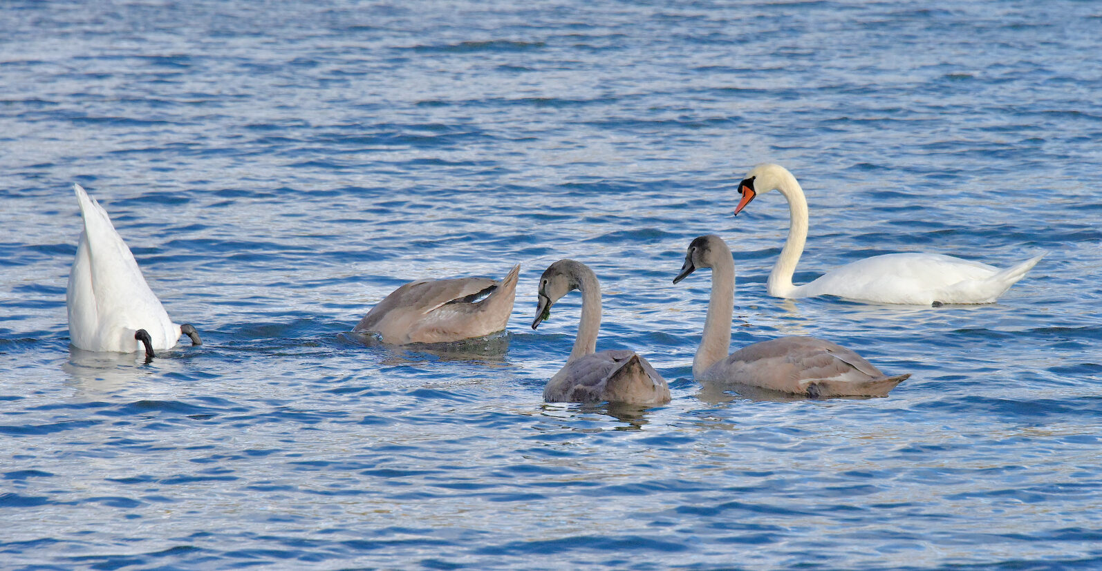Valokuvaaja: Reijo Juurinen