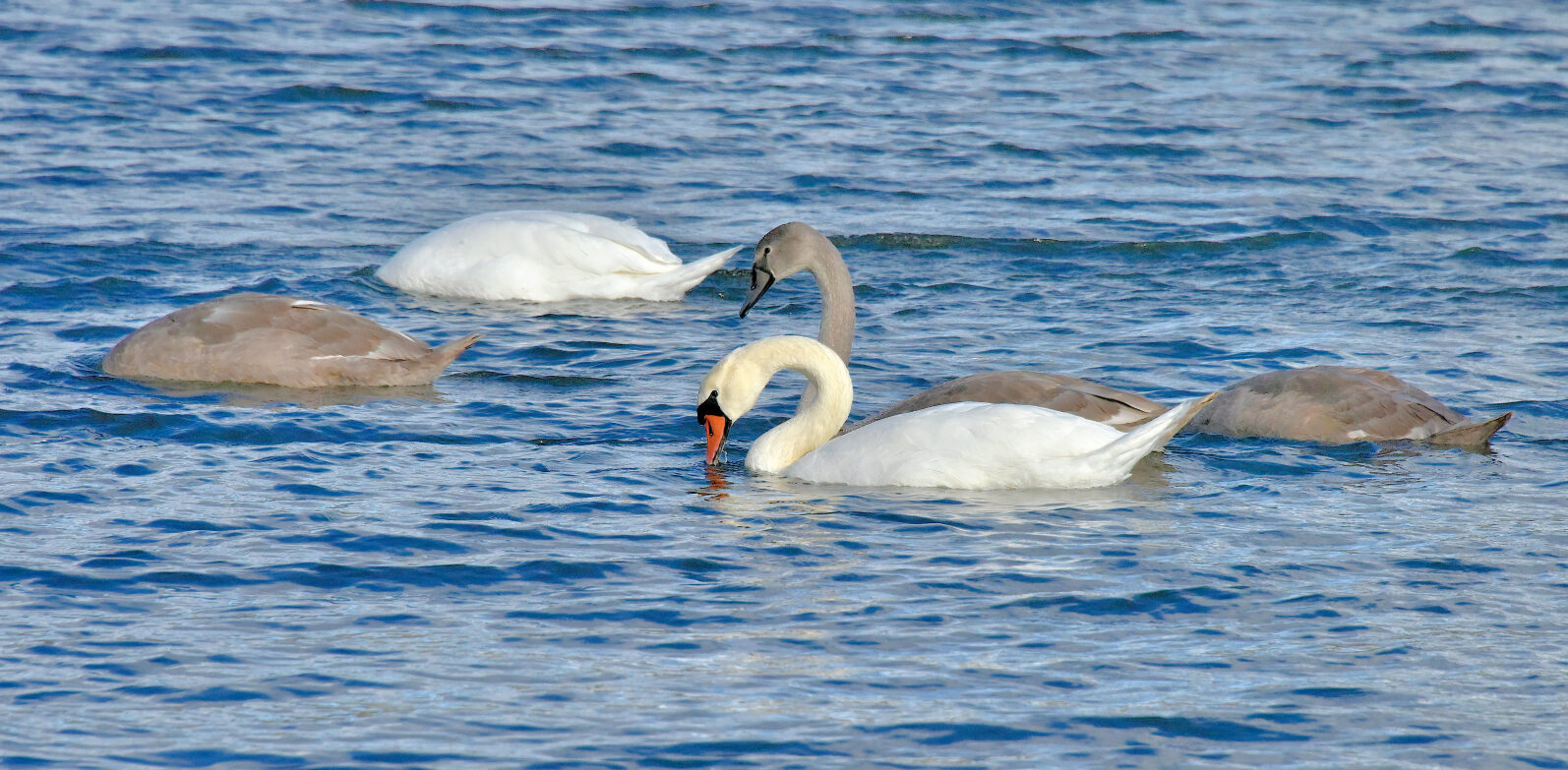 Valokuvaaja: Reijo Juurinen
