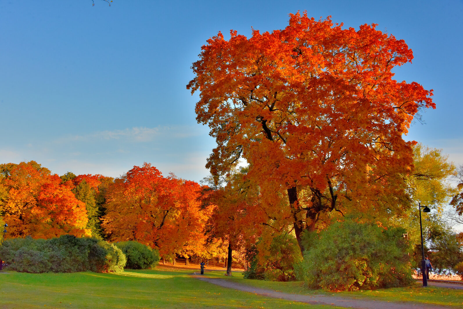 Valokuvaaja: Reijo Juurinen