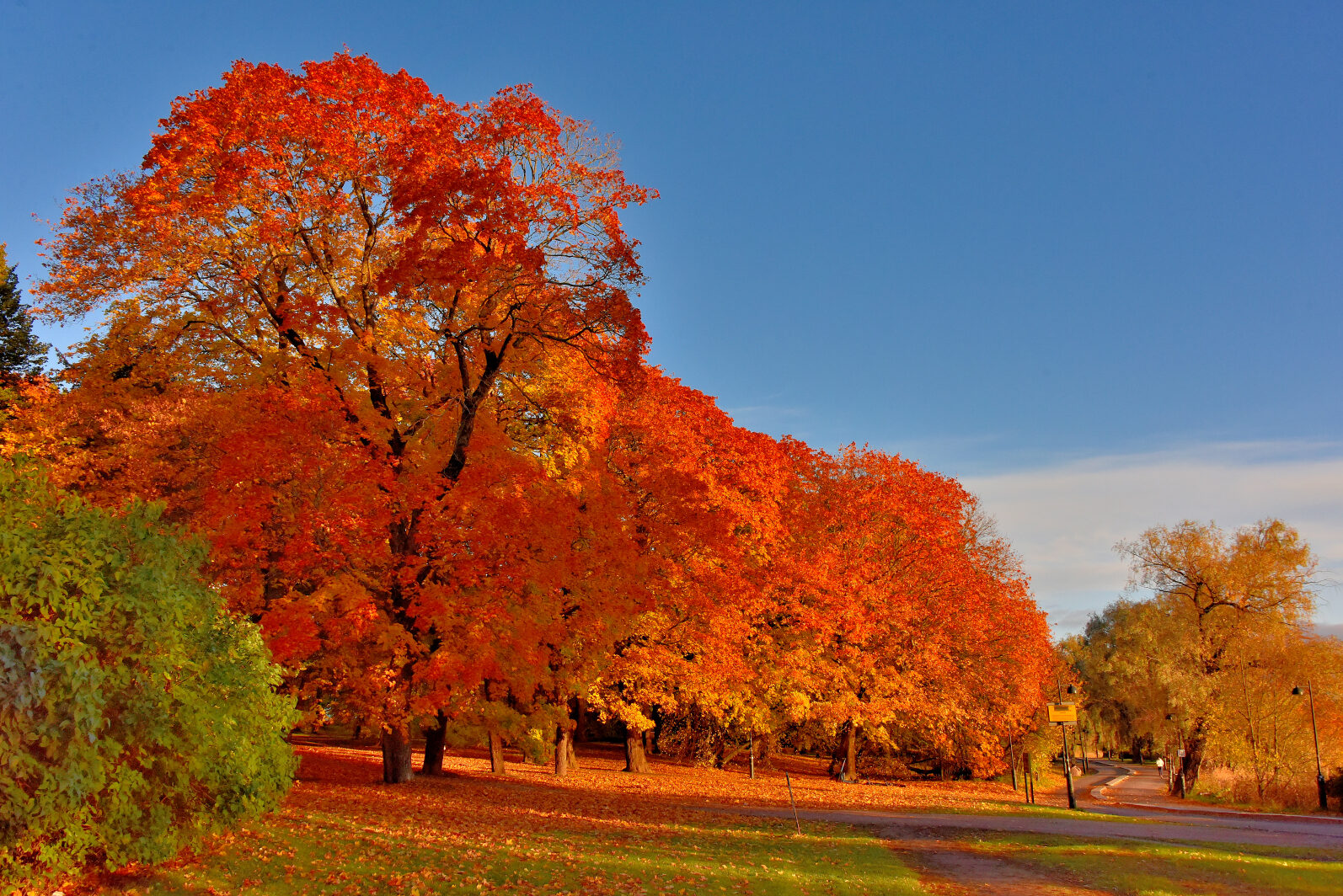 Valokuvaaja: Reijo Juurinen