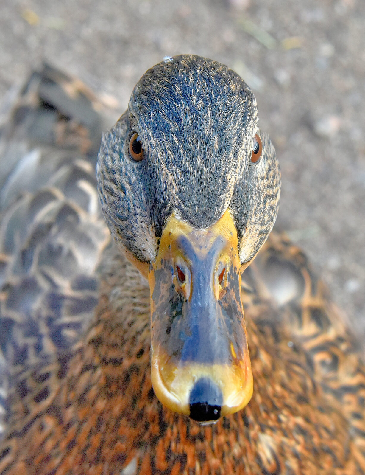 Valokuvaaja: Reijo Juurinen