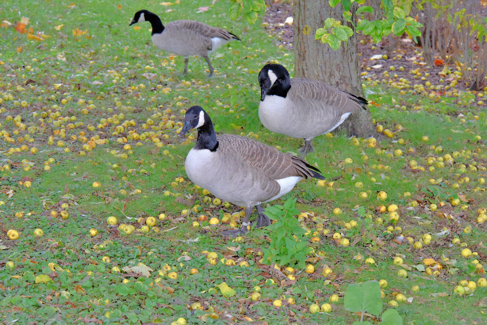 Valokuvaaja: Reijo Juurinen