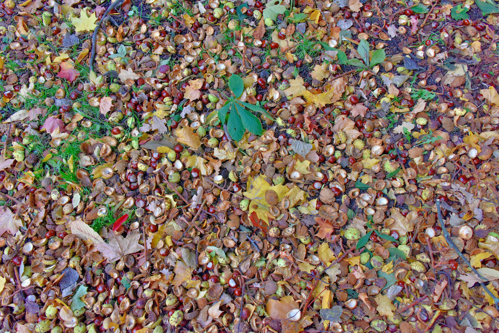 Valokuvaaja: Reijo Juurinen