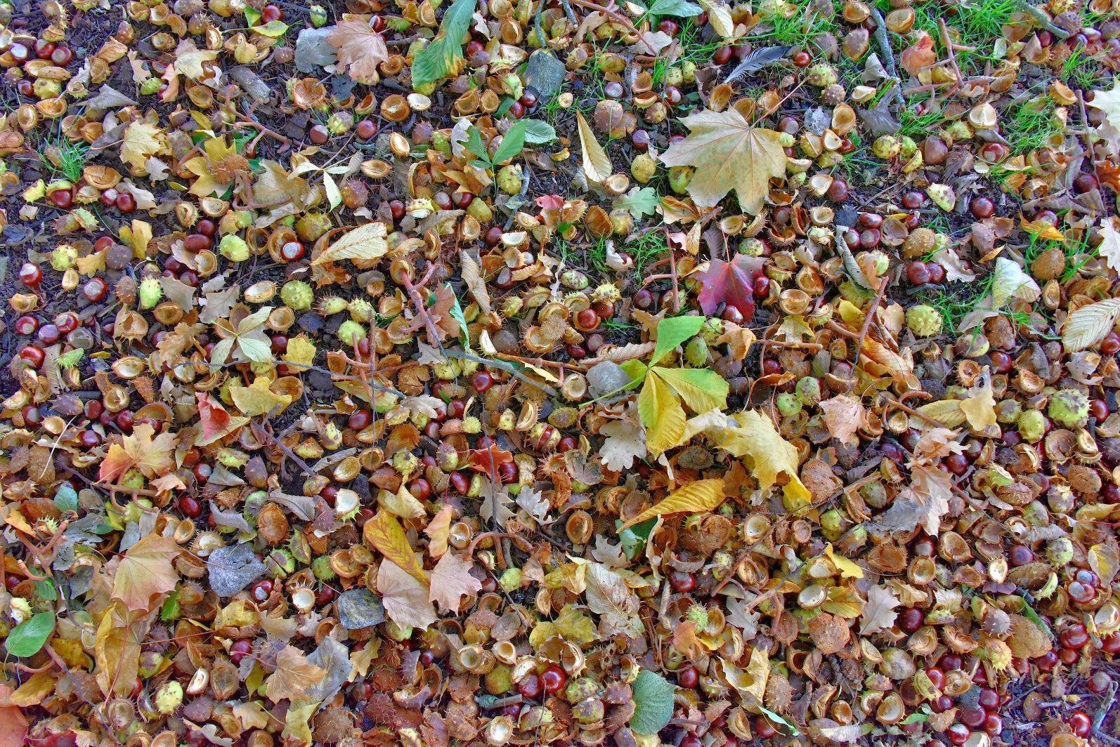Valokuvaaja: Reijo Juurinen Valokuvaaja: Reijo Juurinen