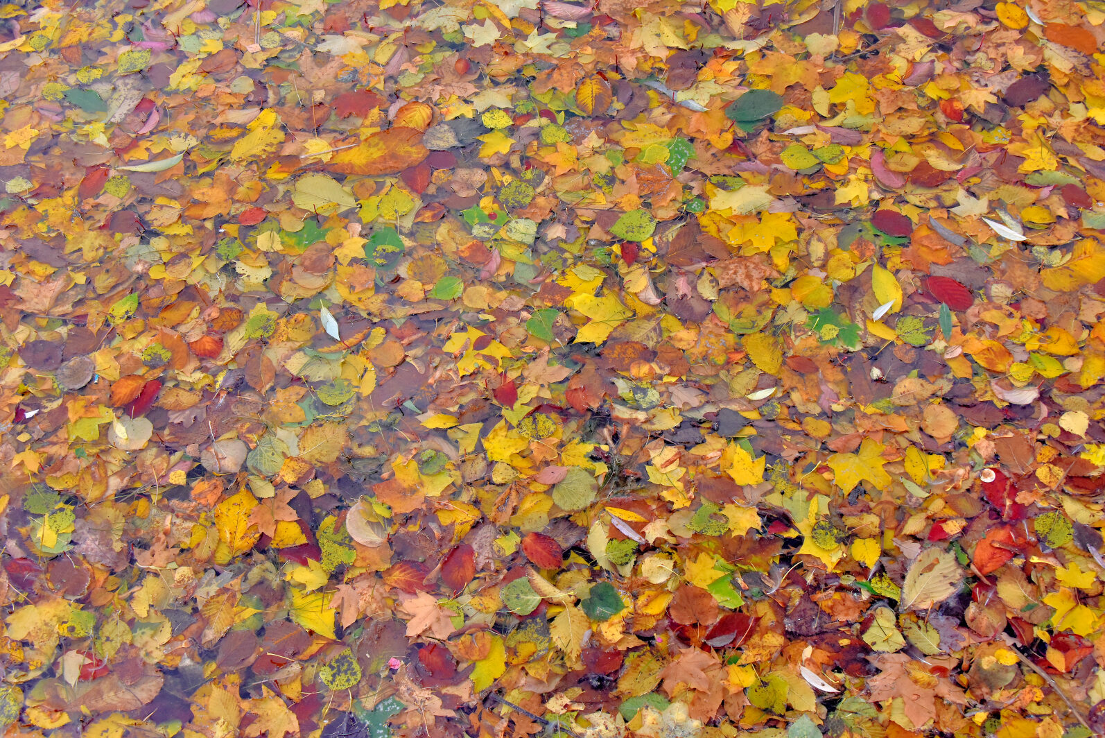 Valokuvaaja: Reijo Juurinen