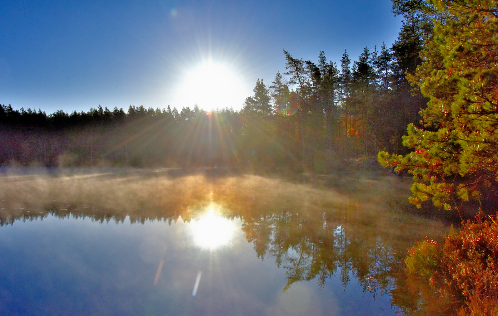 Valokuvaaja: Reijo Juurinen