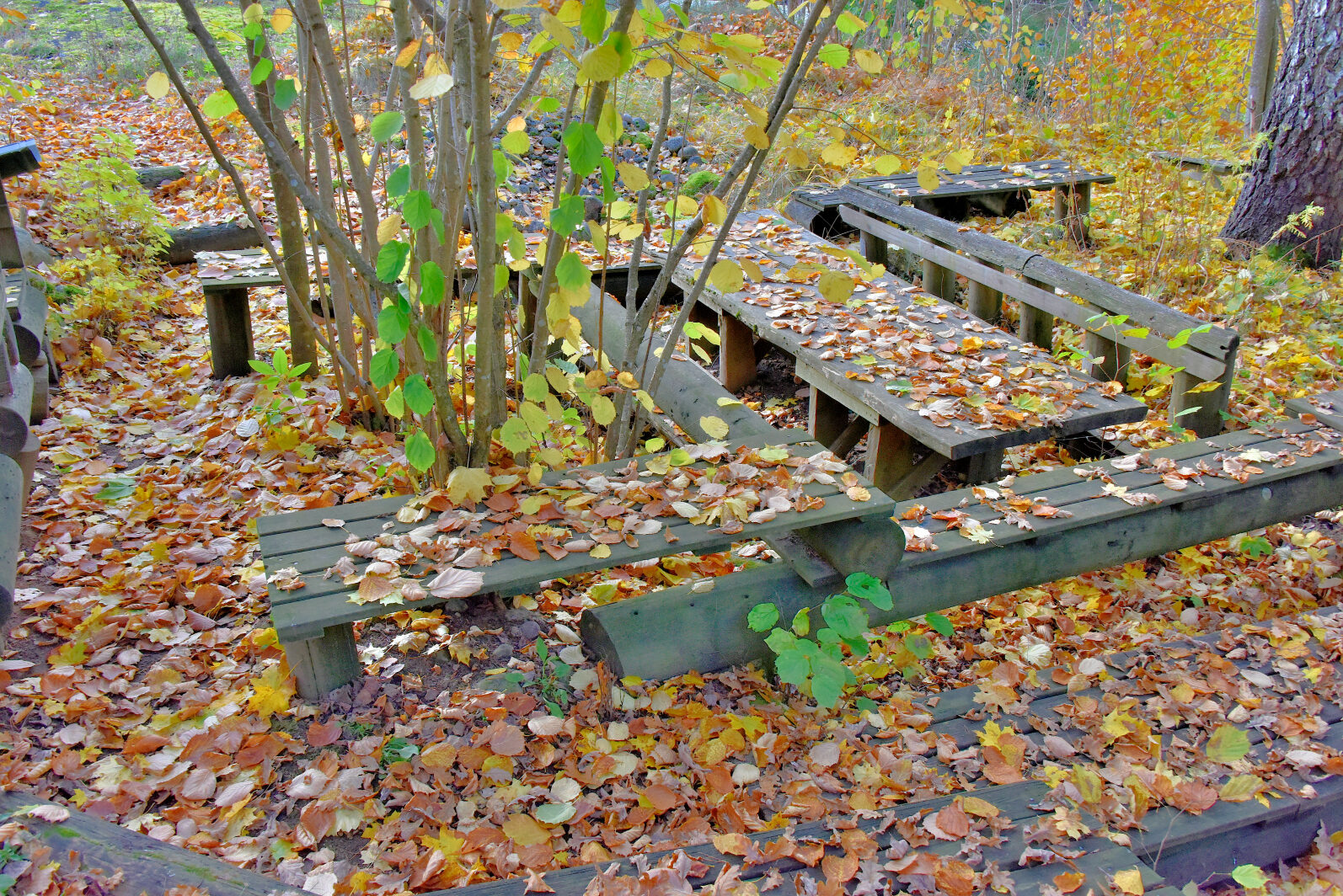 Valokuvaaja: Reijo Juurinen