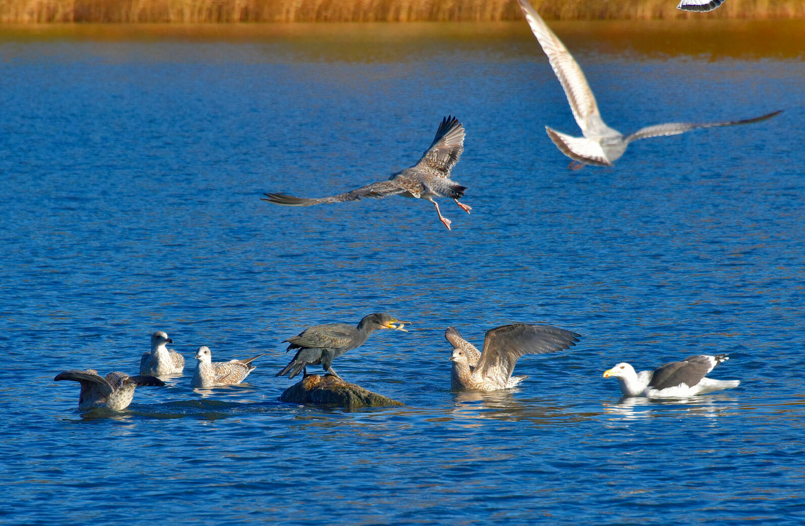 Valokuvaaja: Reijo Juurinen
