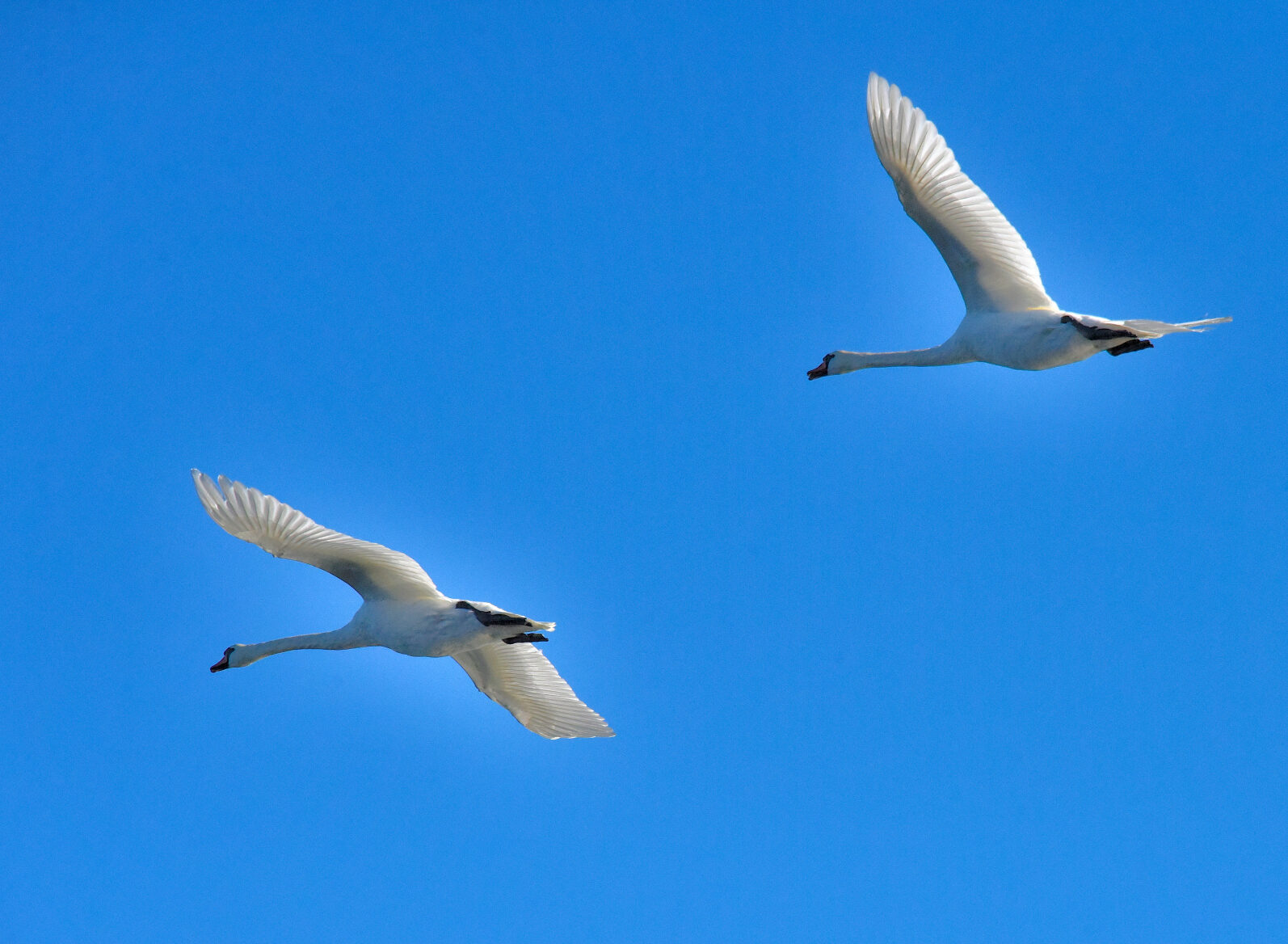 Valokuvaaja: Reijo Juurinen