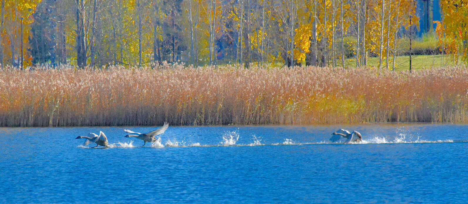 Valokuvaaja: Reijo Juurinen Valokuvaaja: Reijo Juurinen