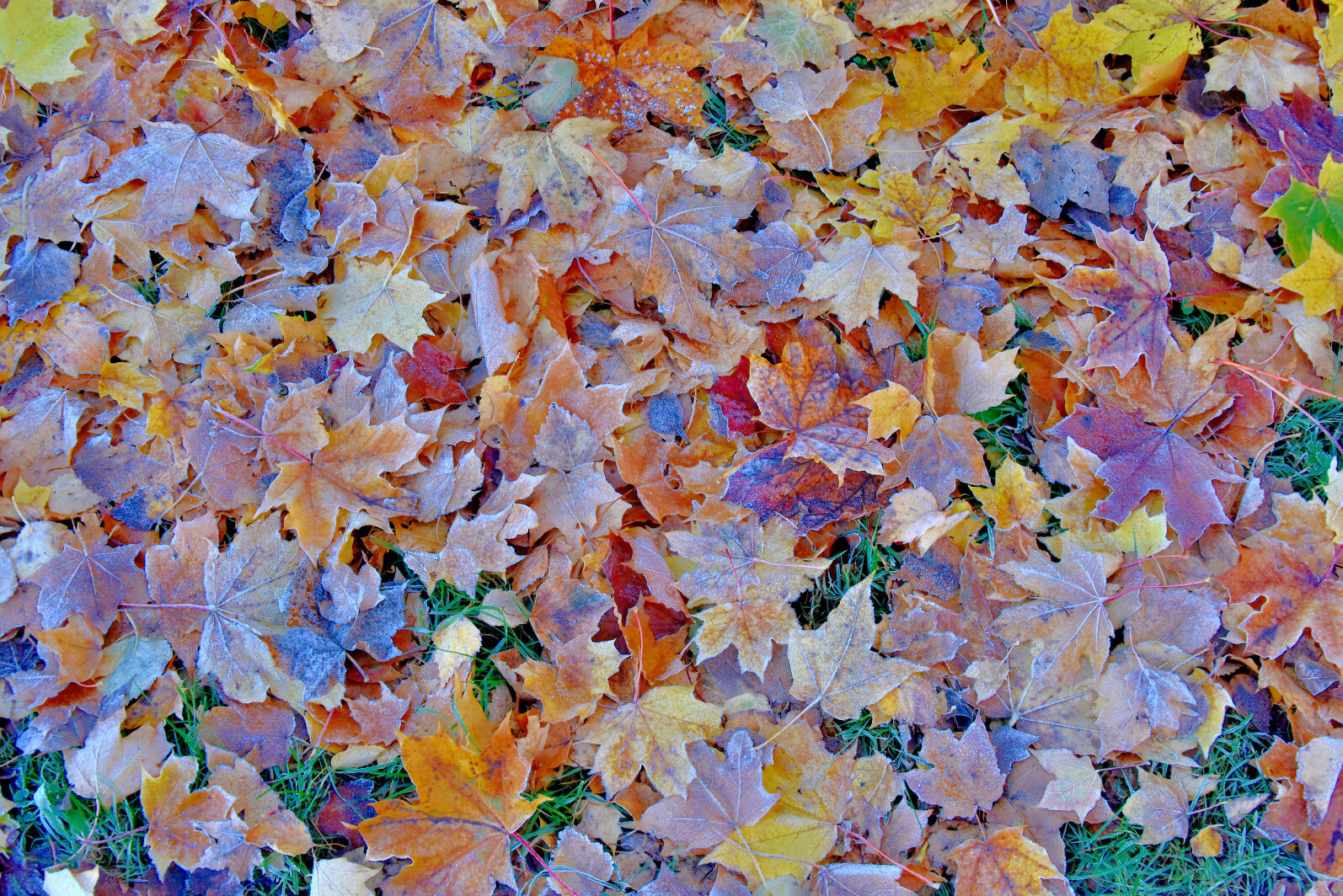 Valokuvaaja: Reijo Juurinen