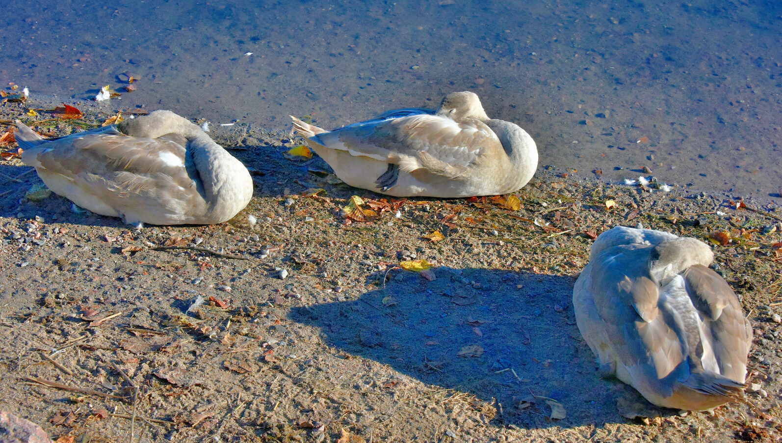 Valokuvaaja: Reijo Juurinen