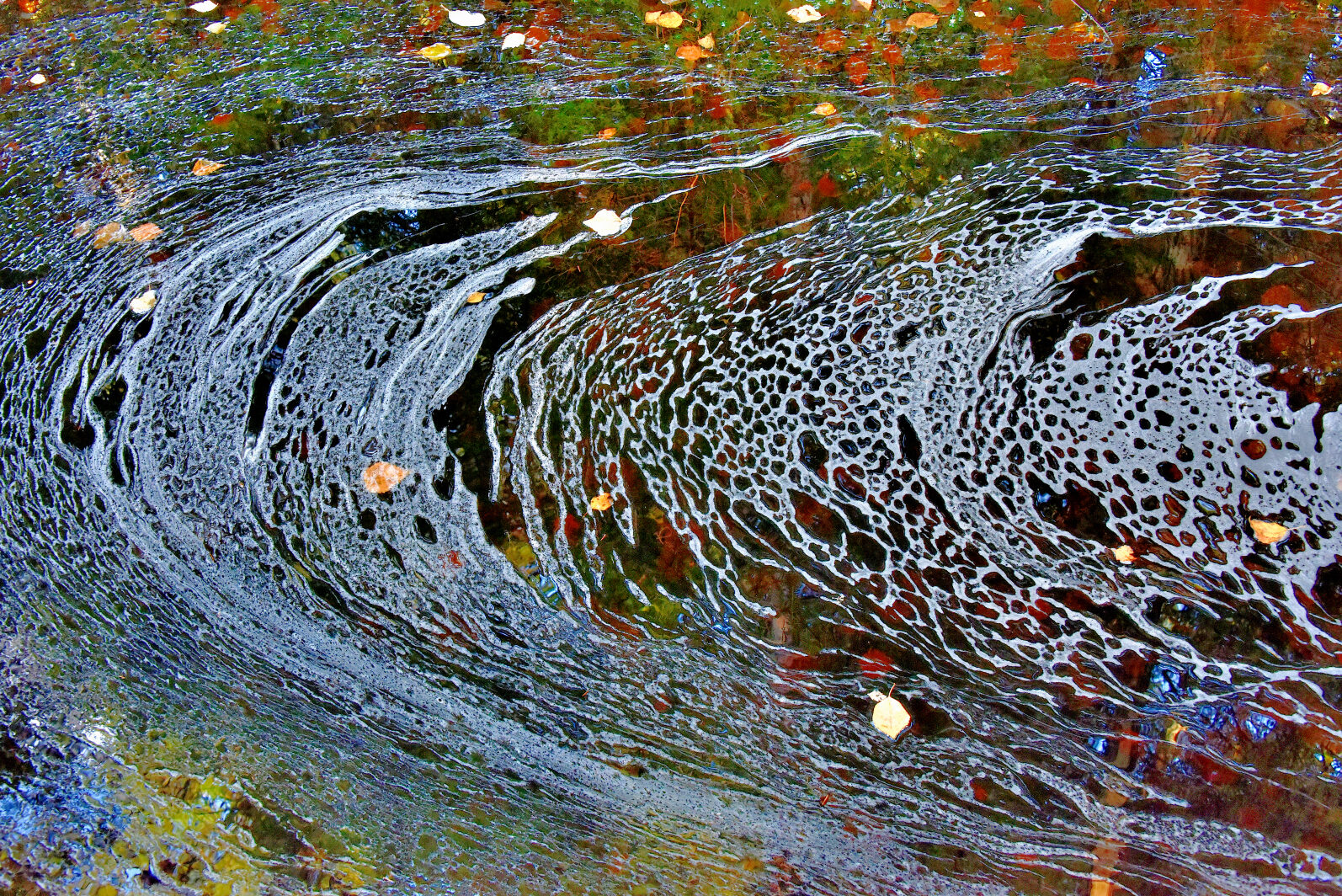 Valokuvaaja: Reijo Juurinen Valokuvaaja: Reijo Juurinen