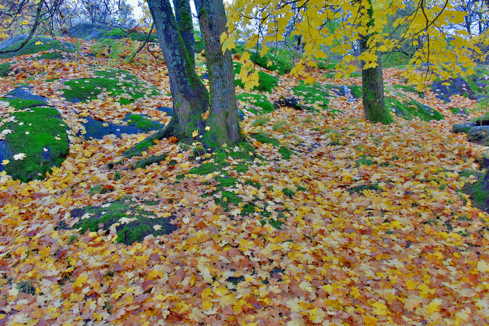 Valokuvaaja: Reijo Juurinen