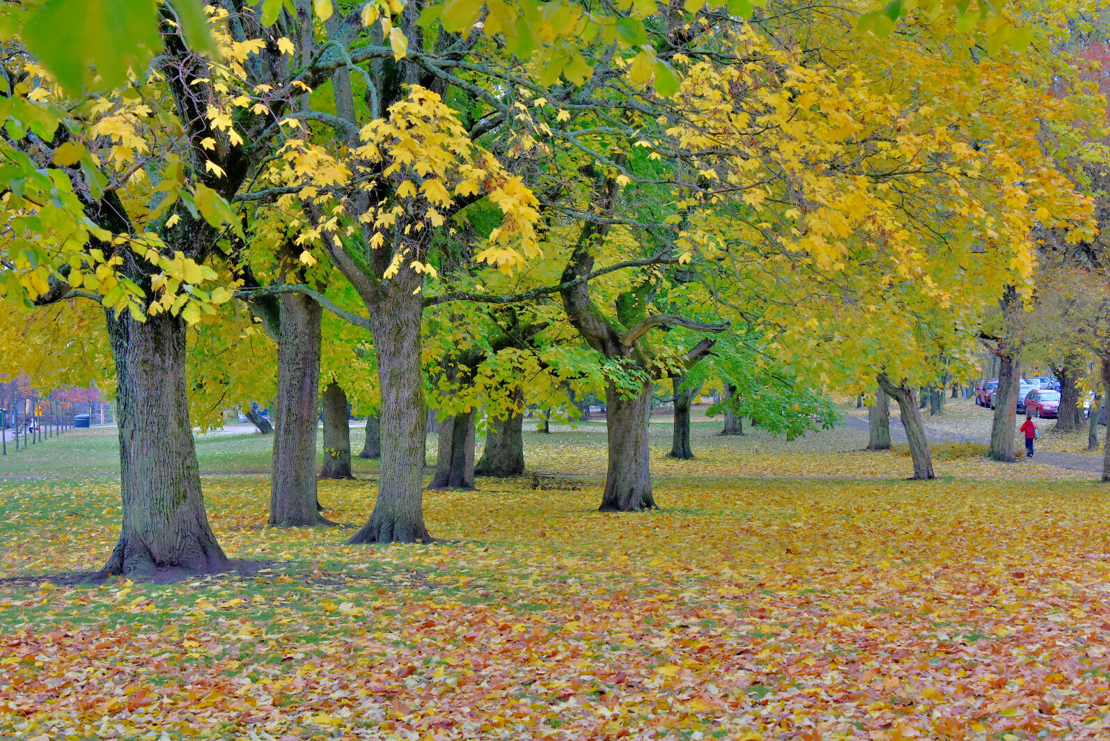 Valokuvaaja: Reijo Juurinen