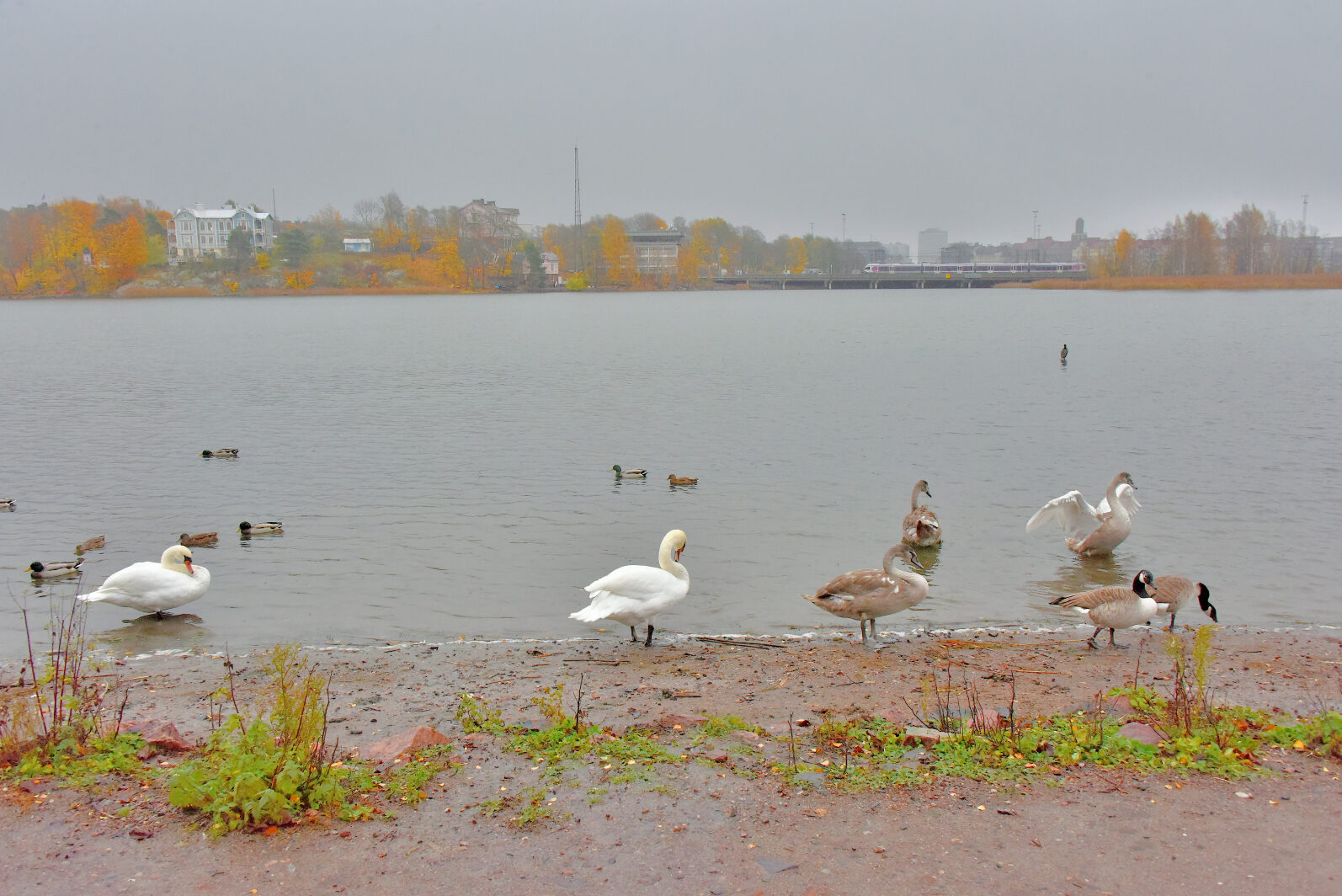 Valokuvaaja: Reijo Juurinen