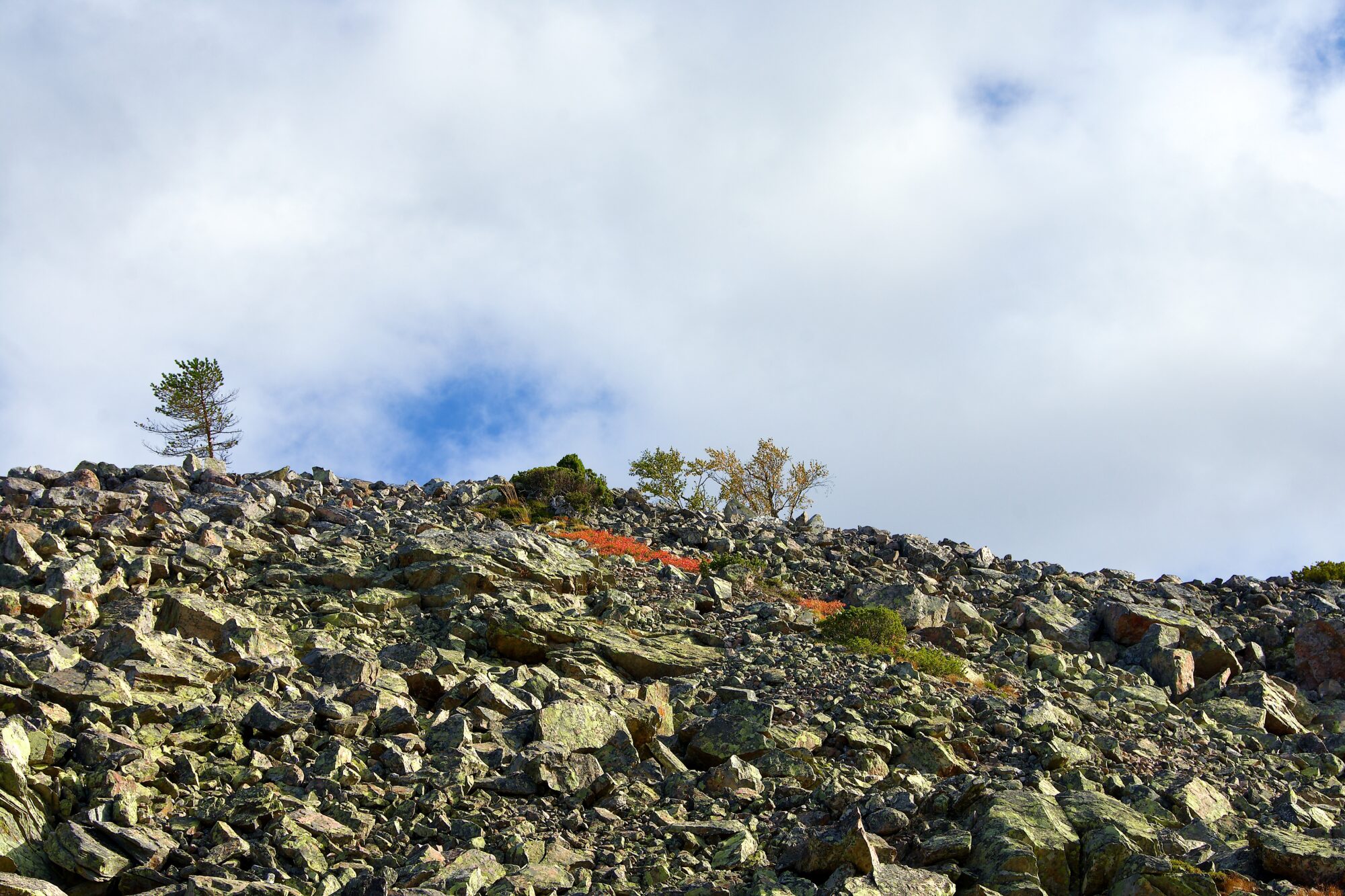 Valokuvaaja: Lasse Rokka