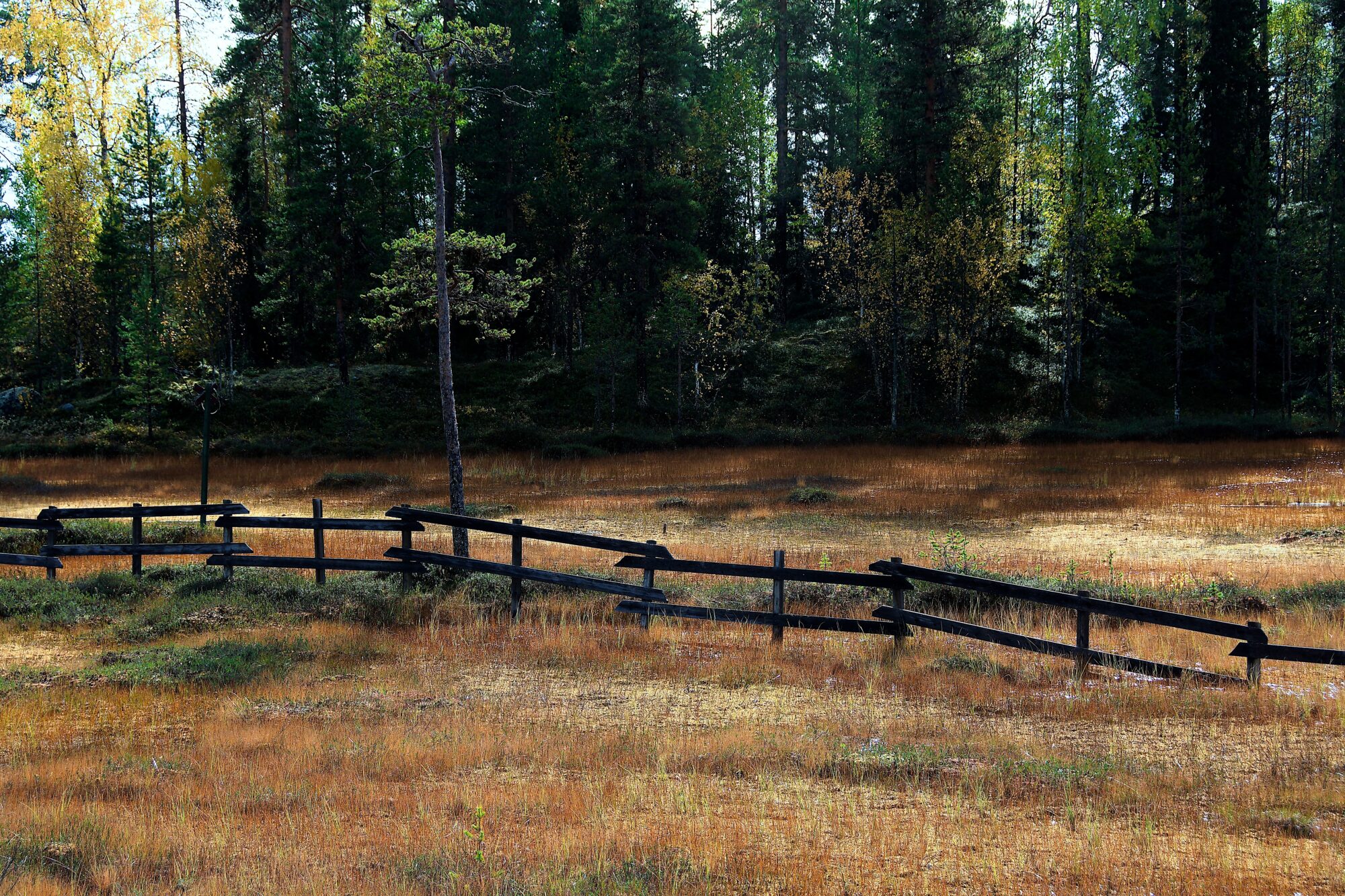 Valokuvaaja: Lasse Rokka