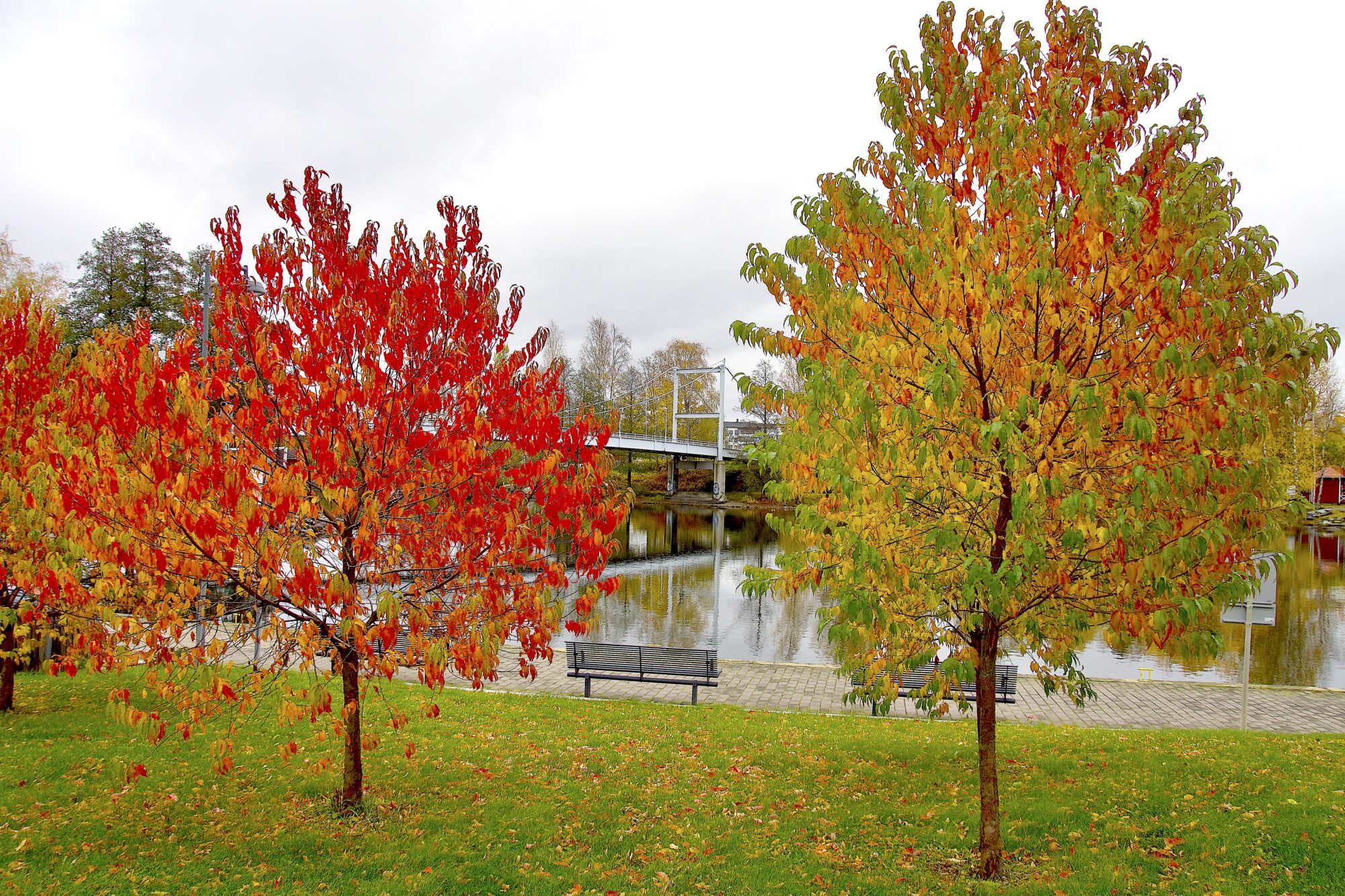 Valokuvaaja: Lasse Rokka