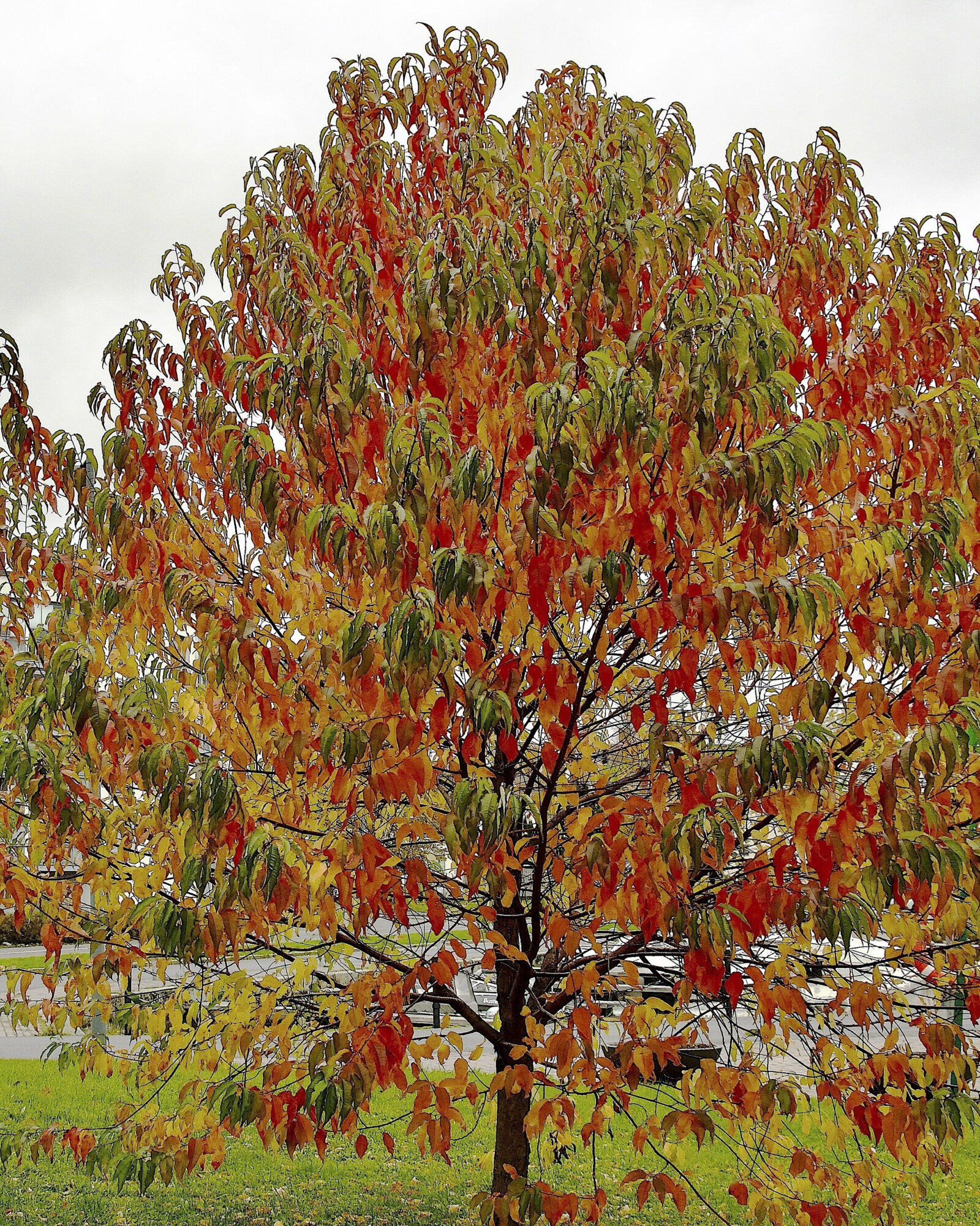 Valokuvaaja: Lasse Rokka