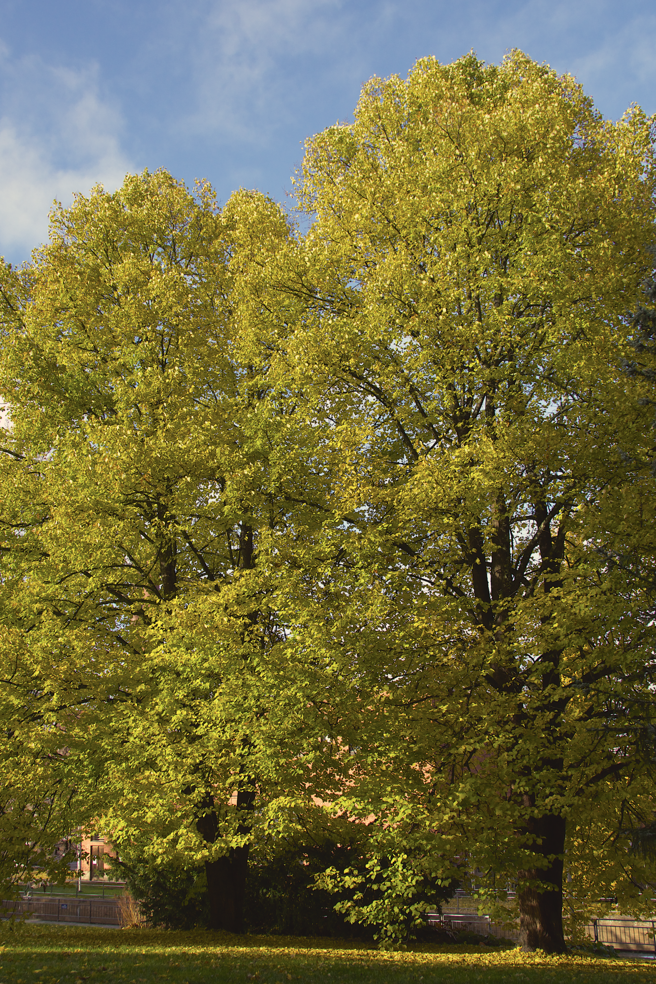 Valokuvaaja: Lasse Rokka