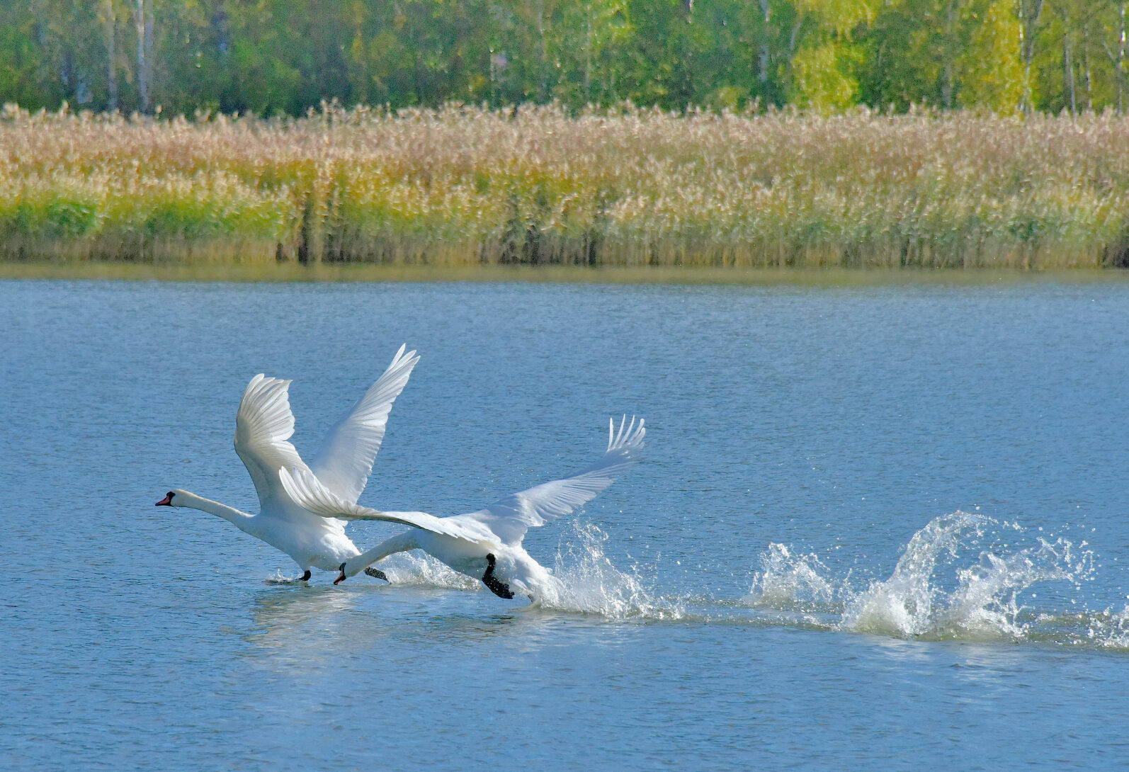 Valokuvaaja: Reijo Juurinen