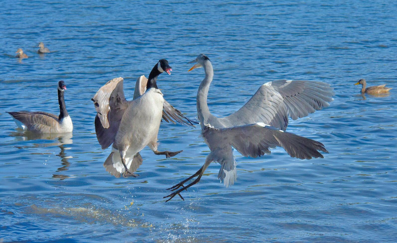 Valokuvaaja: Reijo Juurinen