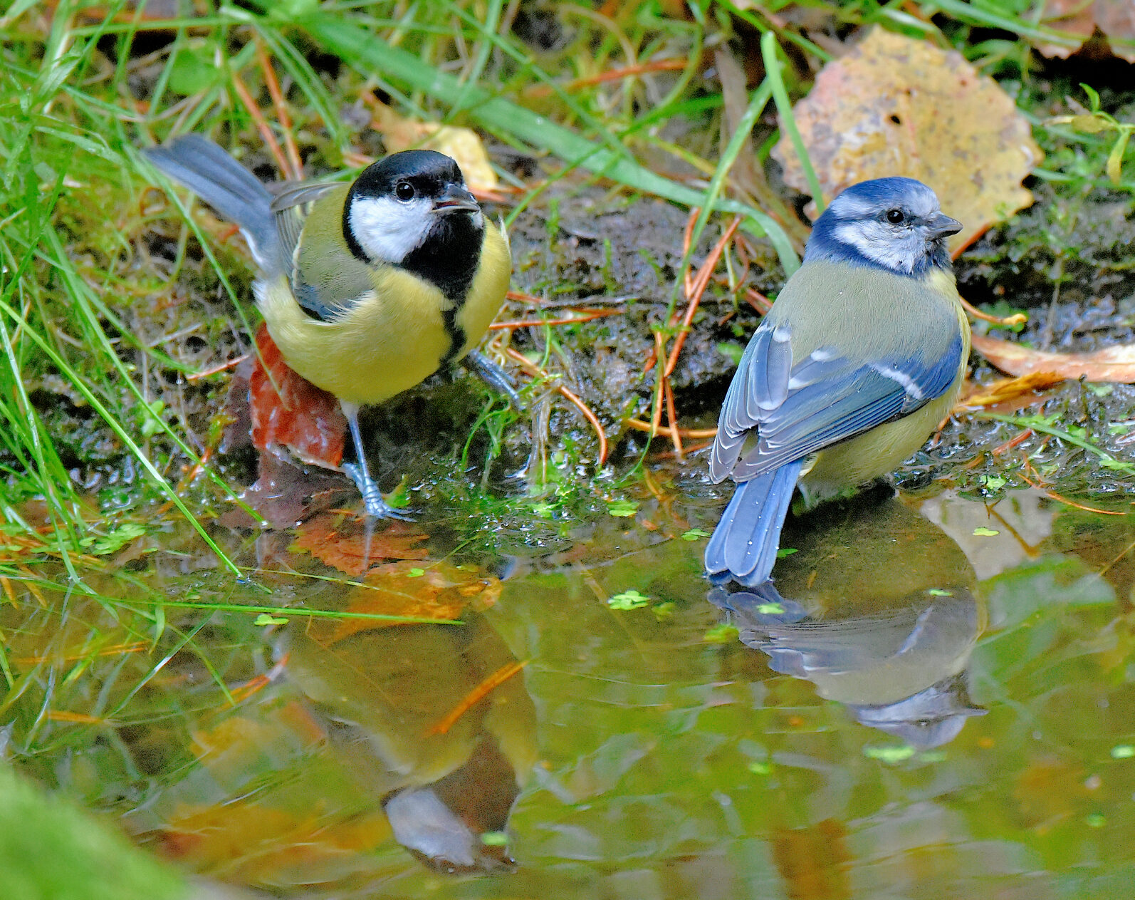 Valokuvaaja: Reijo Juurinen