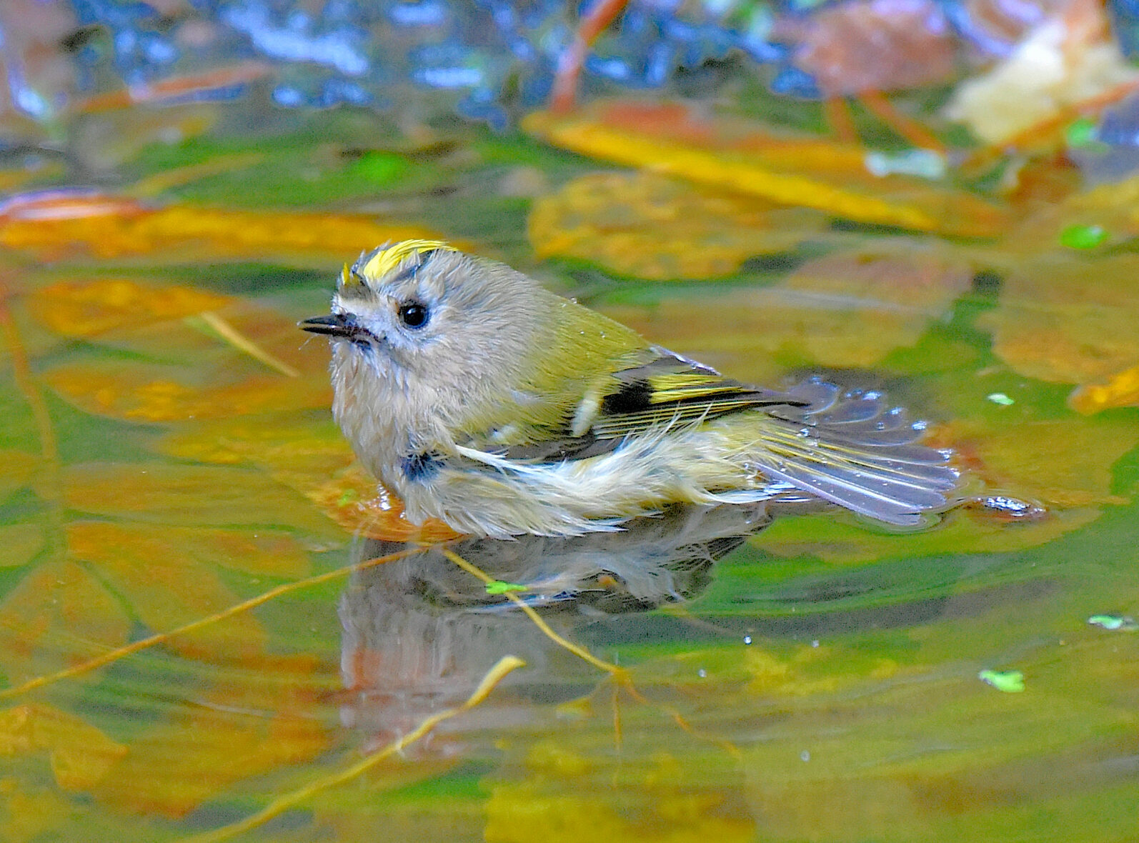 Valokuvaaja: Reijo Juurinen