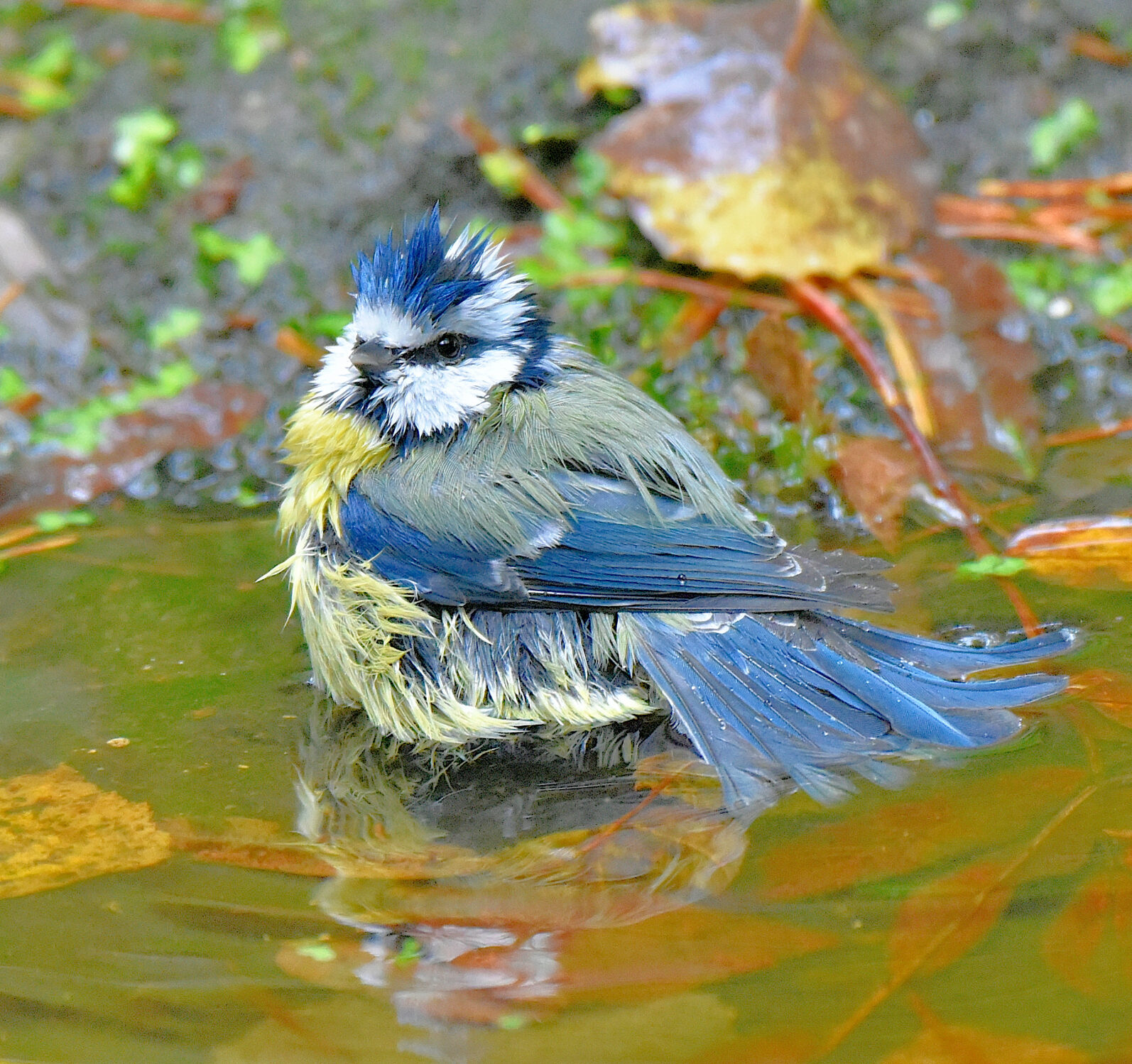 Valokuvaaja: Reijo Juurinen