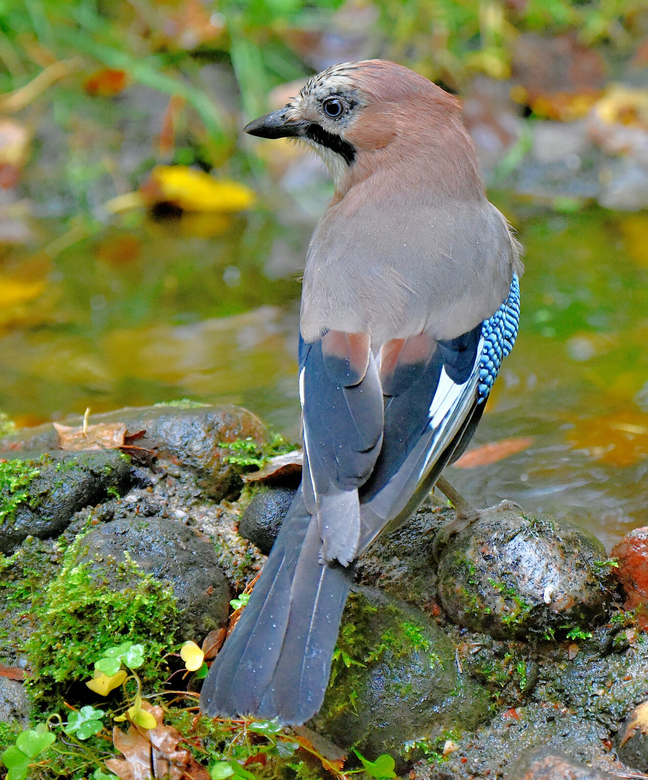 Valokuvaaja: Reijo Juurinen