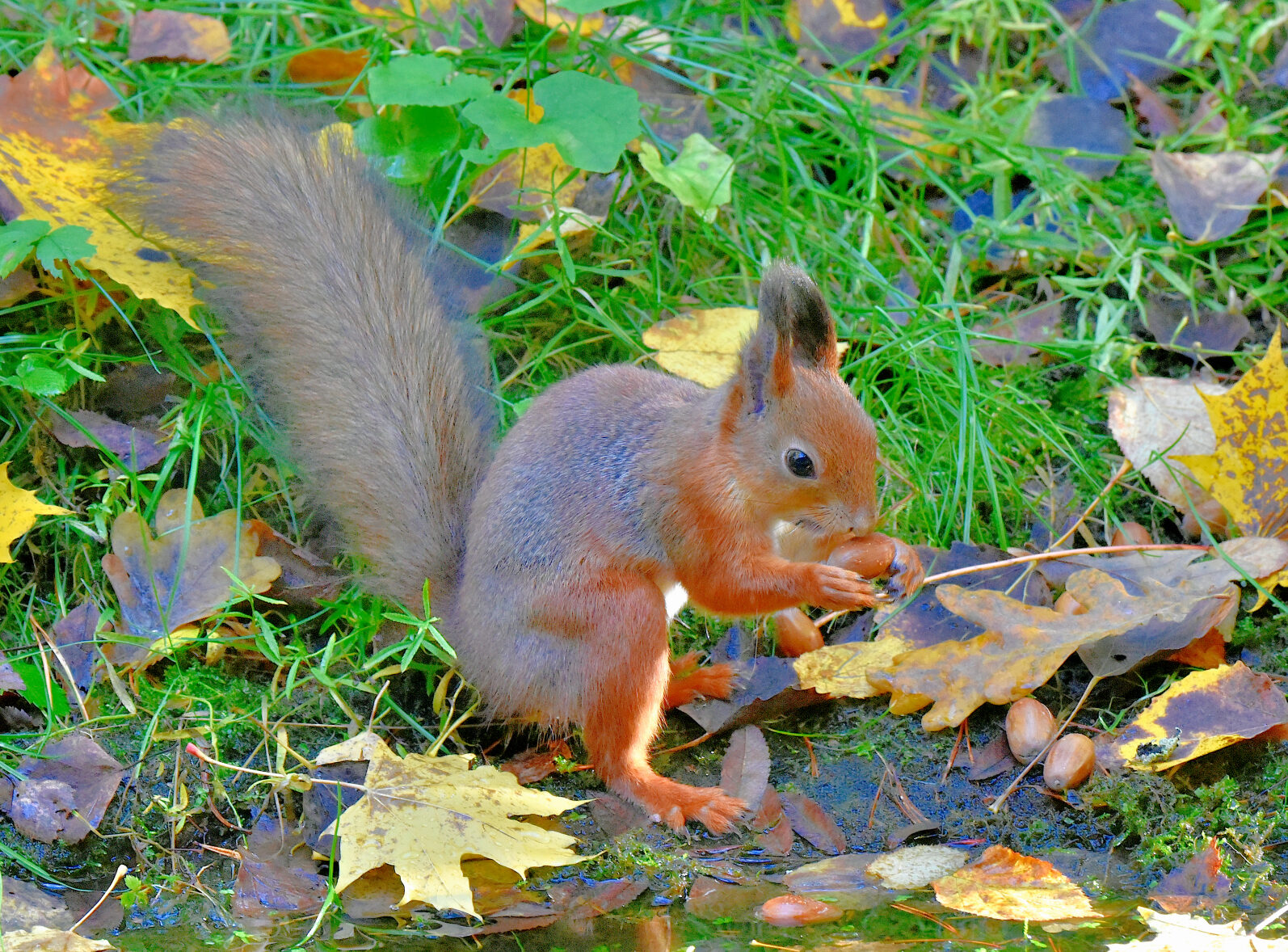 Valokuvaaja: Reijo Juurinen